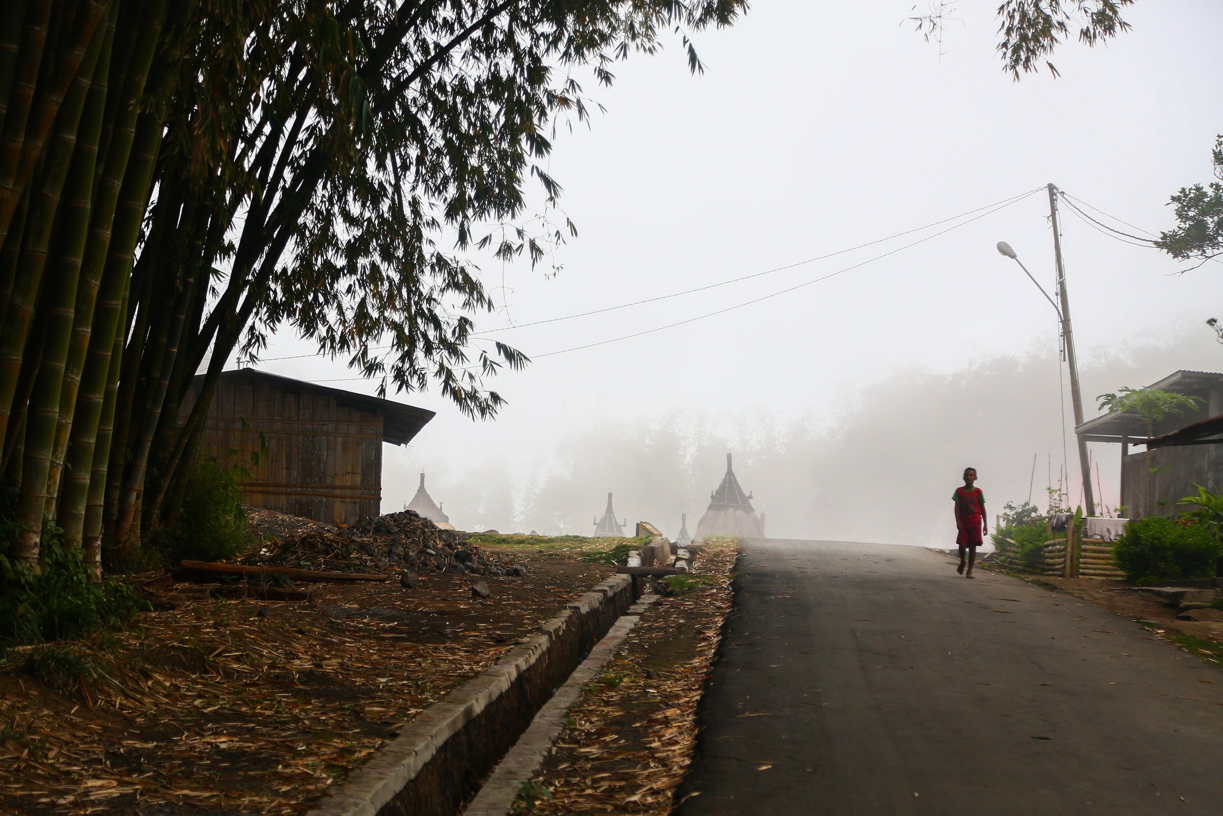 A child walks through the fog in Langa, Flores.