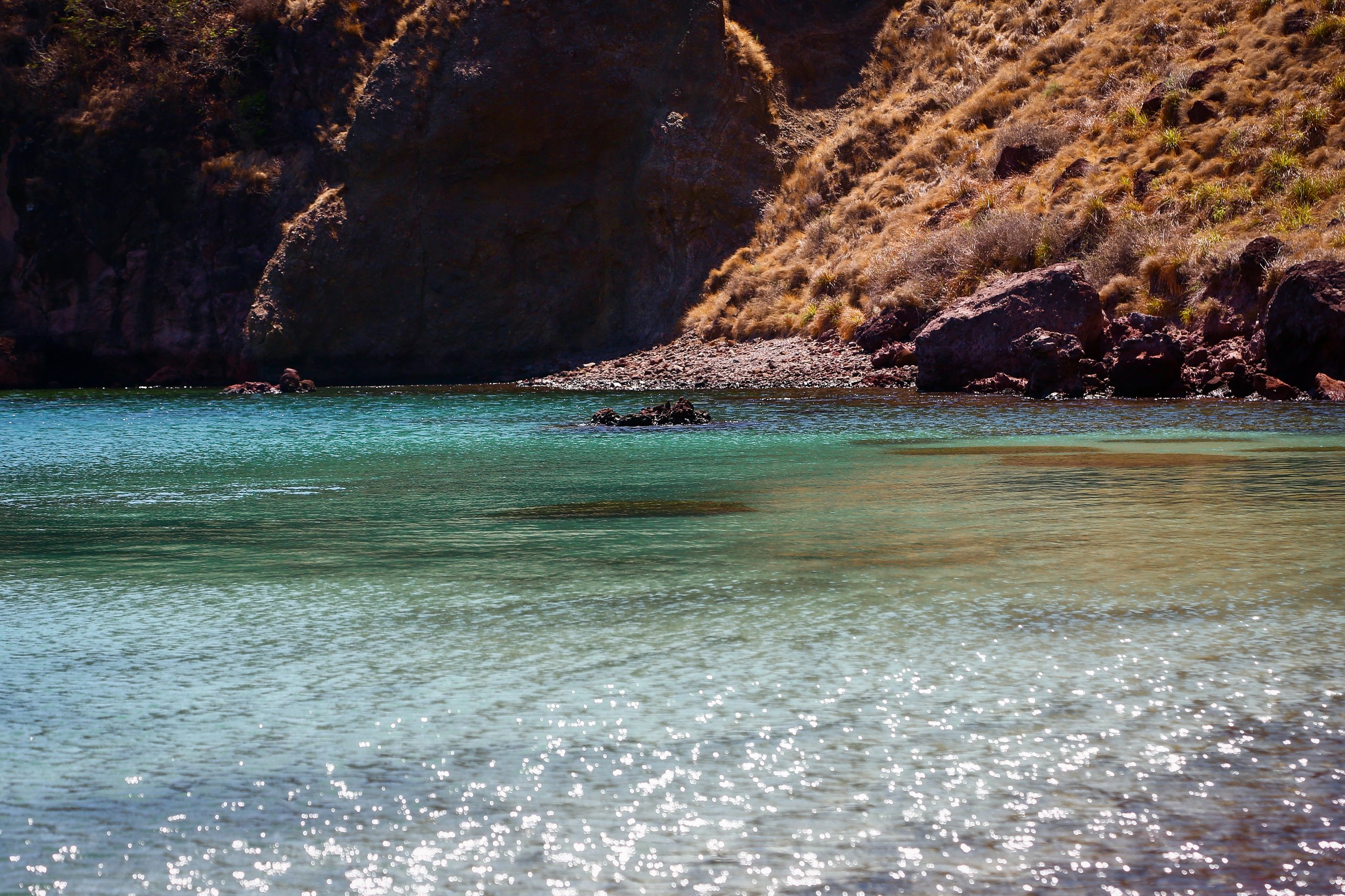 The clear waters and dry land of Komodo National Park.