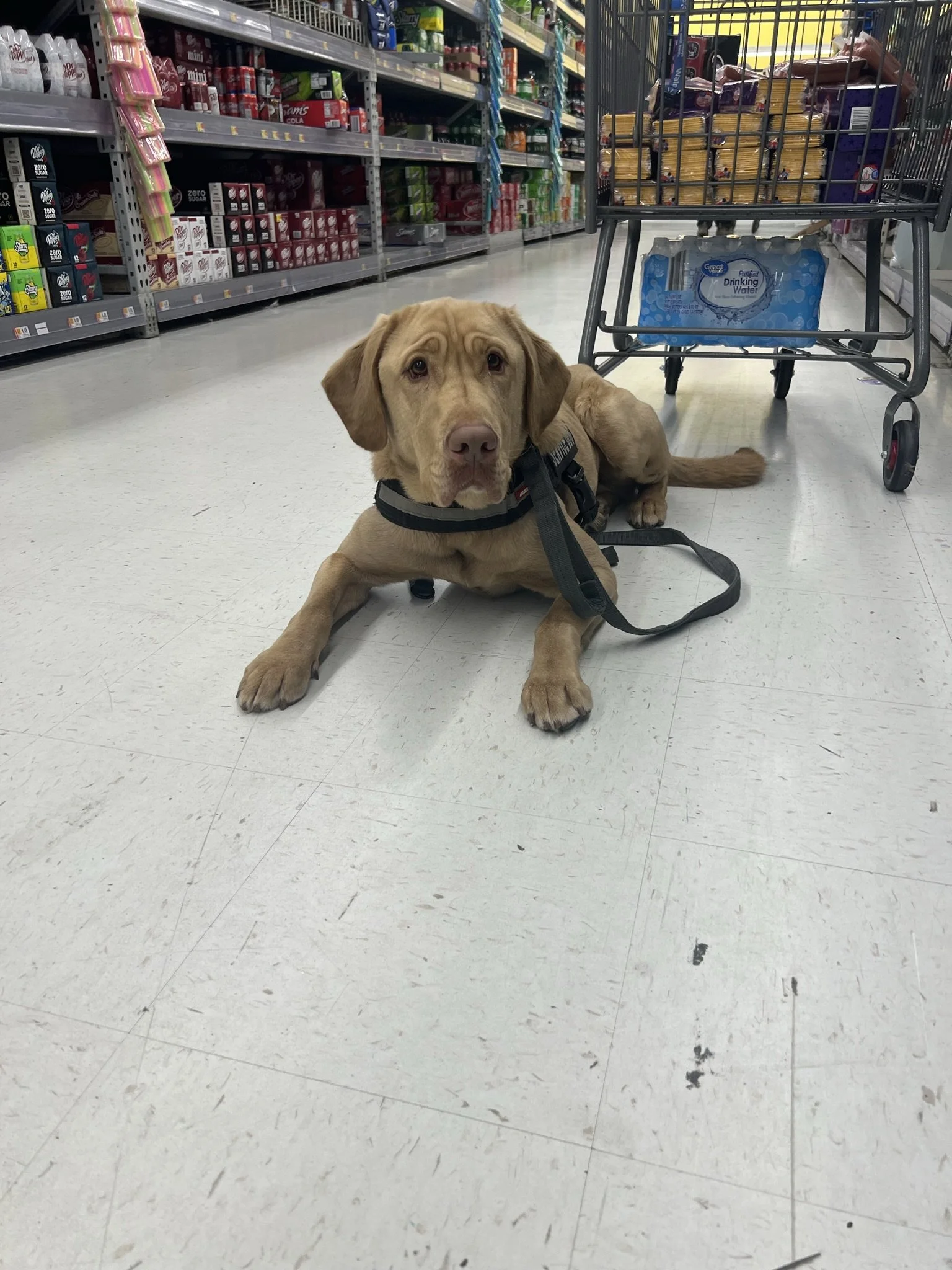 69524483980__F1D8EC8F-DD2F-498C-954E-A7C96AC5CDC0 (1).JPEG