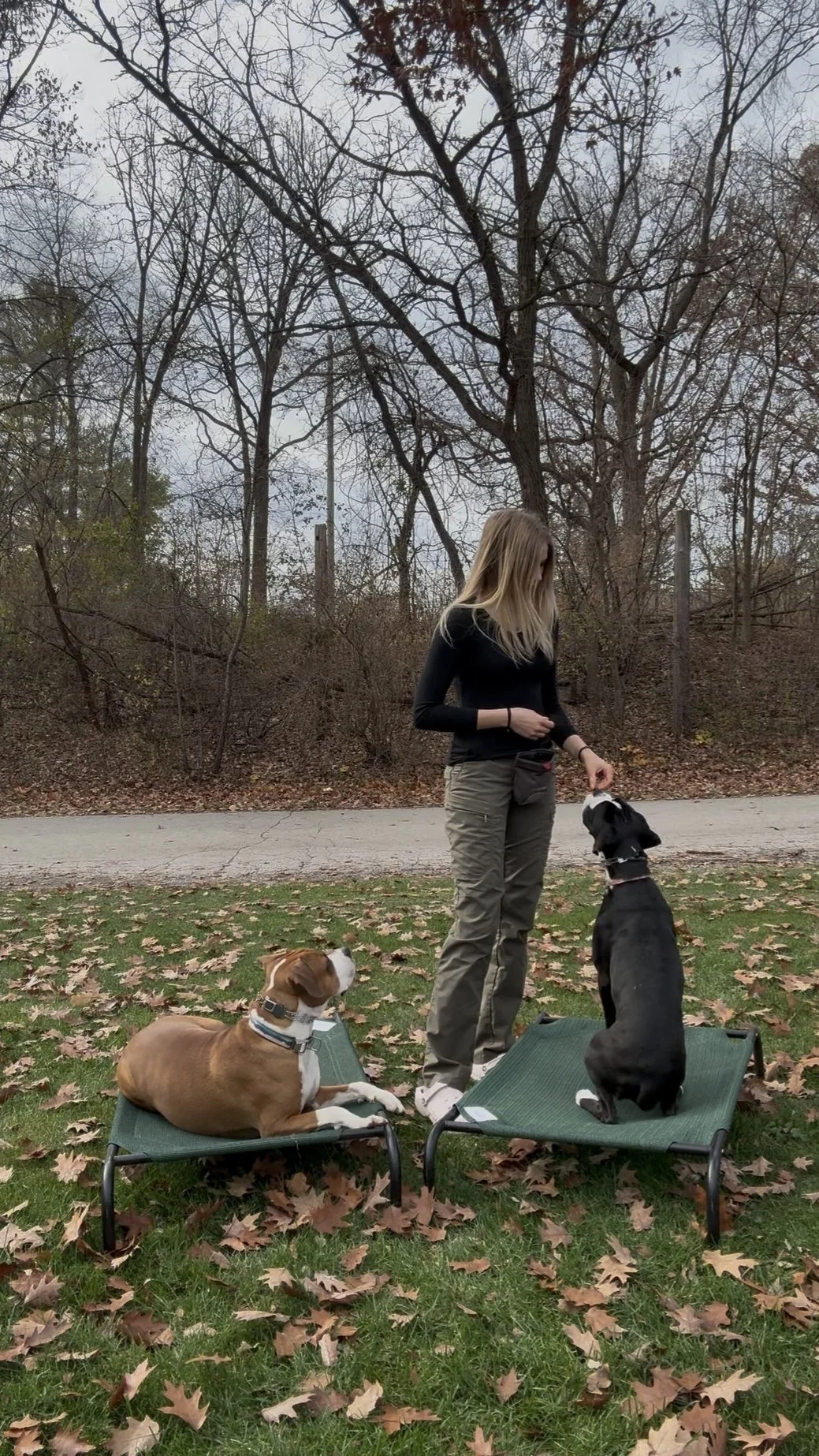 A woman standing outdoors with two dogs, one sitting on a lounge chair and the other sitting on the ground, amidst fallen autumn leaves in a park or yard.