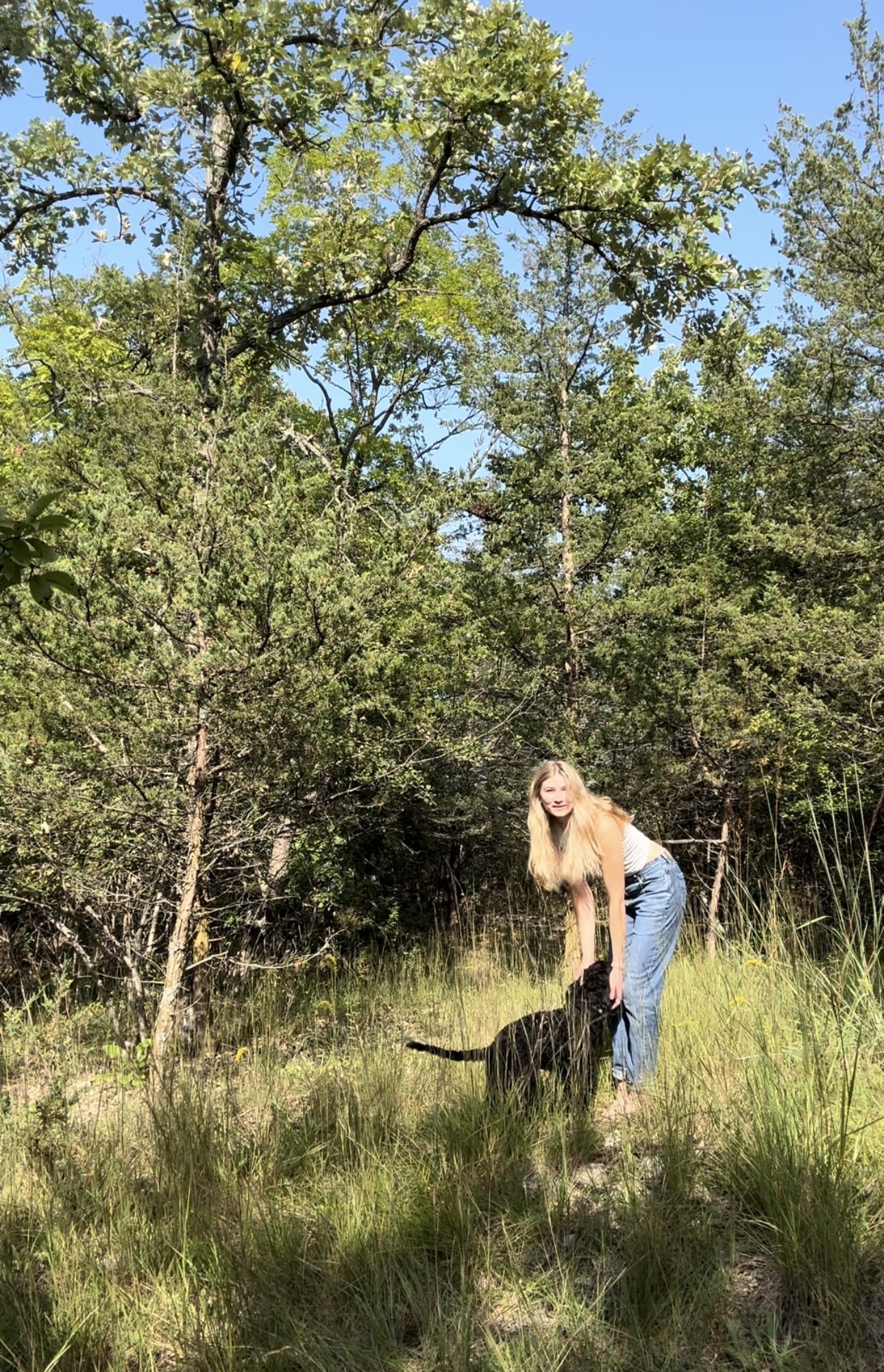 A woman in blue jeans and a white top bending down on a grassy area, petting a black dog, with trees and a clear blue sky in the background.
