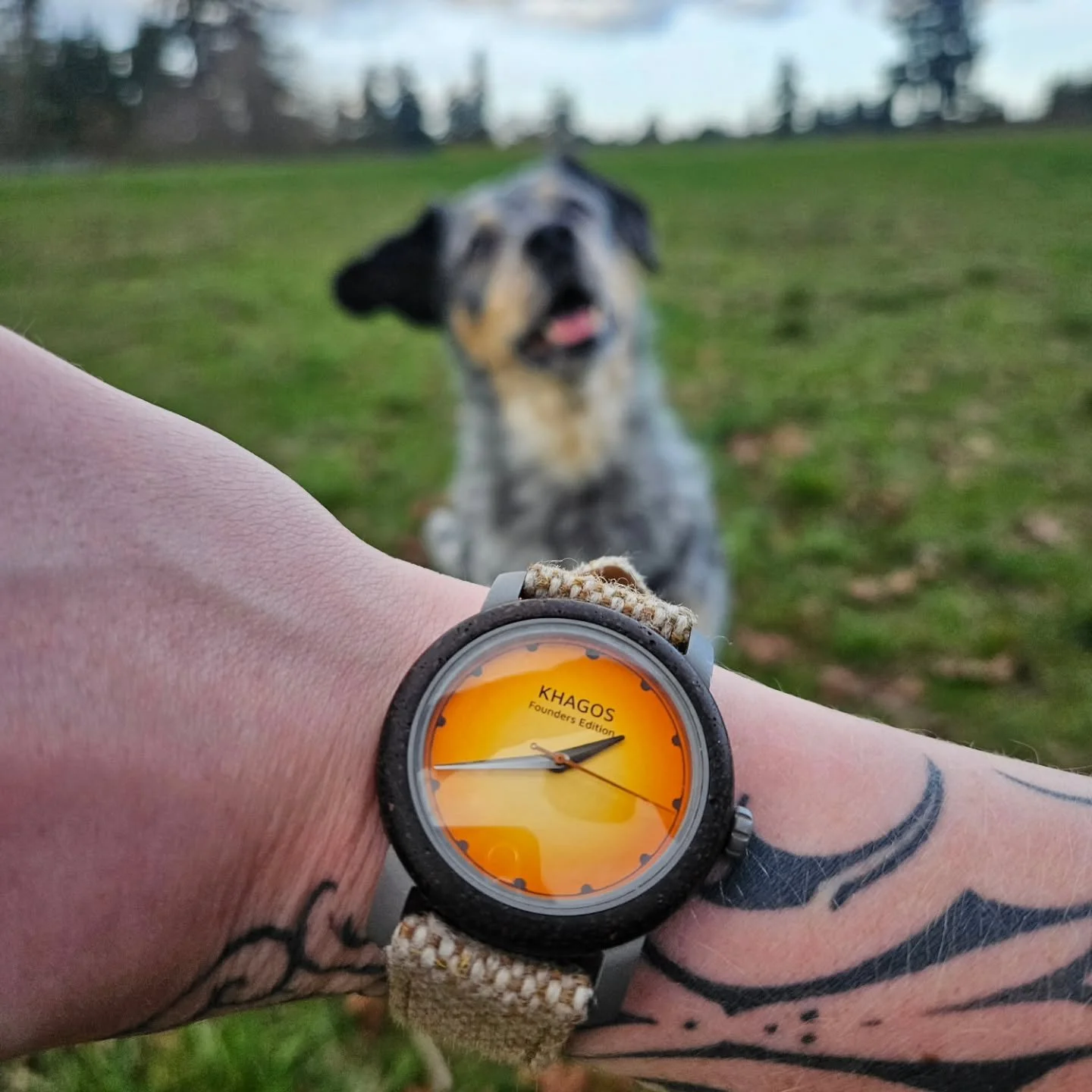 Lola may not be able to tell time, but she knows a cool watch when she sees one ☺️🐕🐾

~
#khagoswatch #khagos #microbrandwatch #microbrandwatches #microbrandwatchworld #watchesofinstagram #wristwatch #wristcheck #wristwatches #coffeewatch #coffeeisl