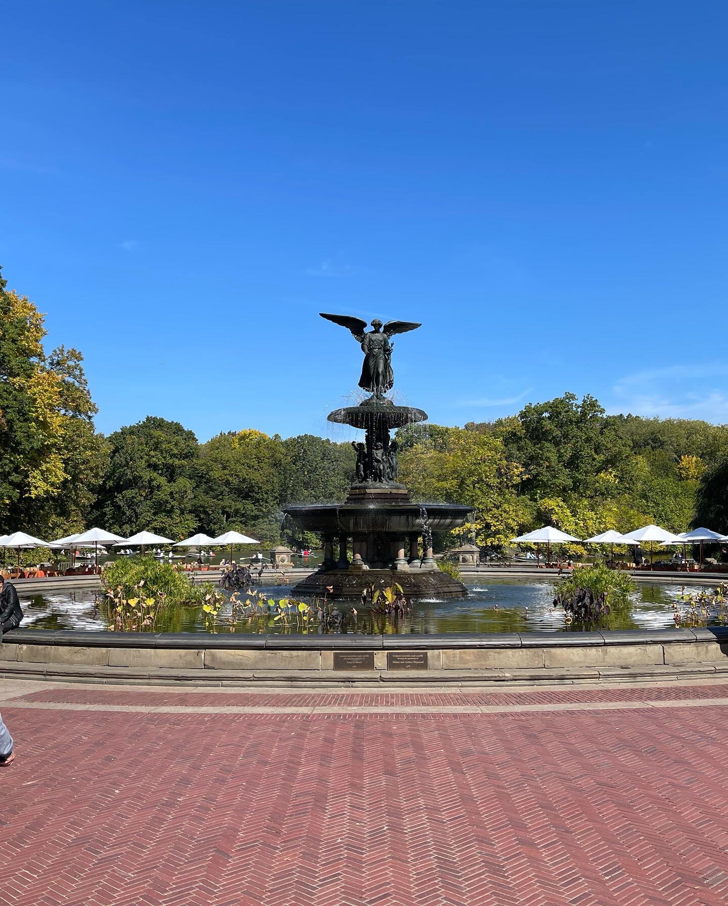On Tuesday&rsquo;s we would rather be outside @centralparknyc 
.
.
.
.
Fall Luncheon with @centralparknycwomenscommittee 
#picnic #centralpark #fall #luncheon #events #wedontduckaround #canardinc