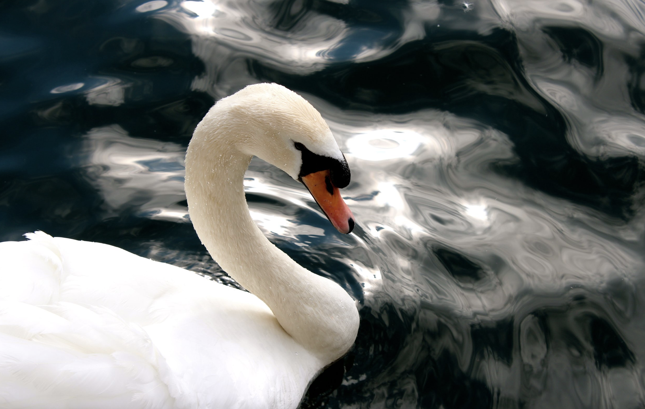 Screenshot 2023-03-19 at 10.08.55 PM.png