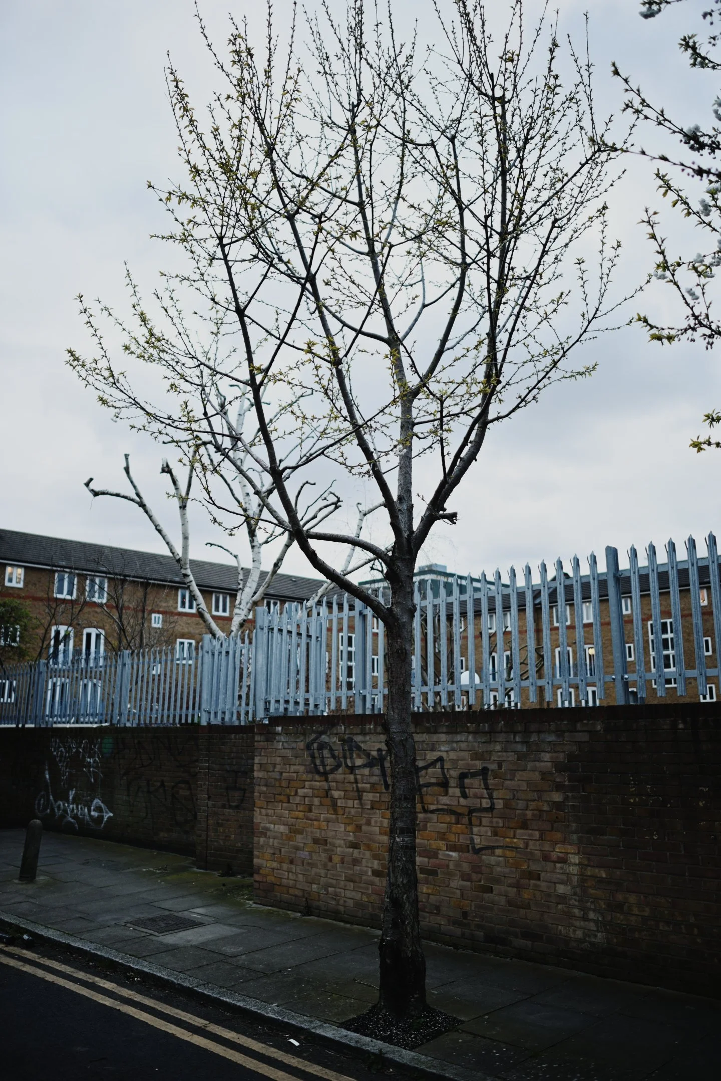 Last gloomy days in London before the spring finally kicks in, apr'26 around Brick Lane