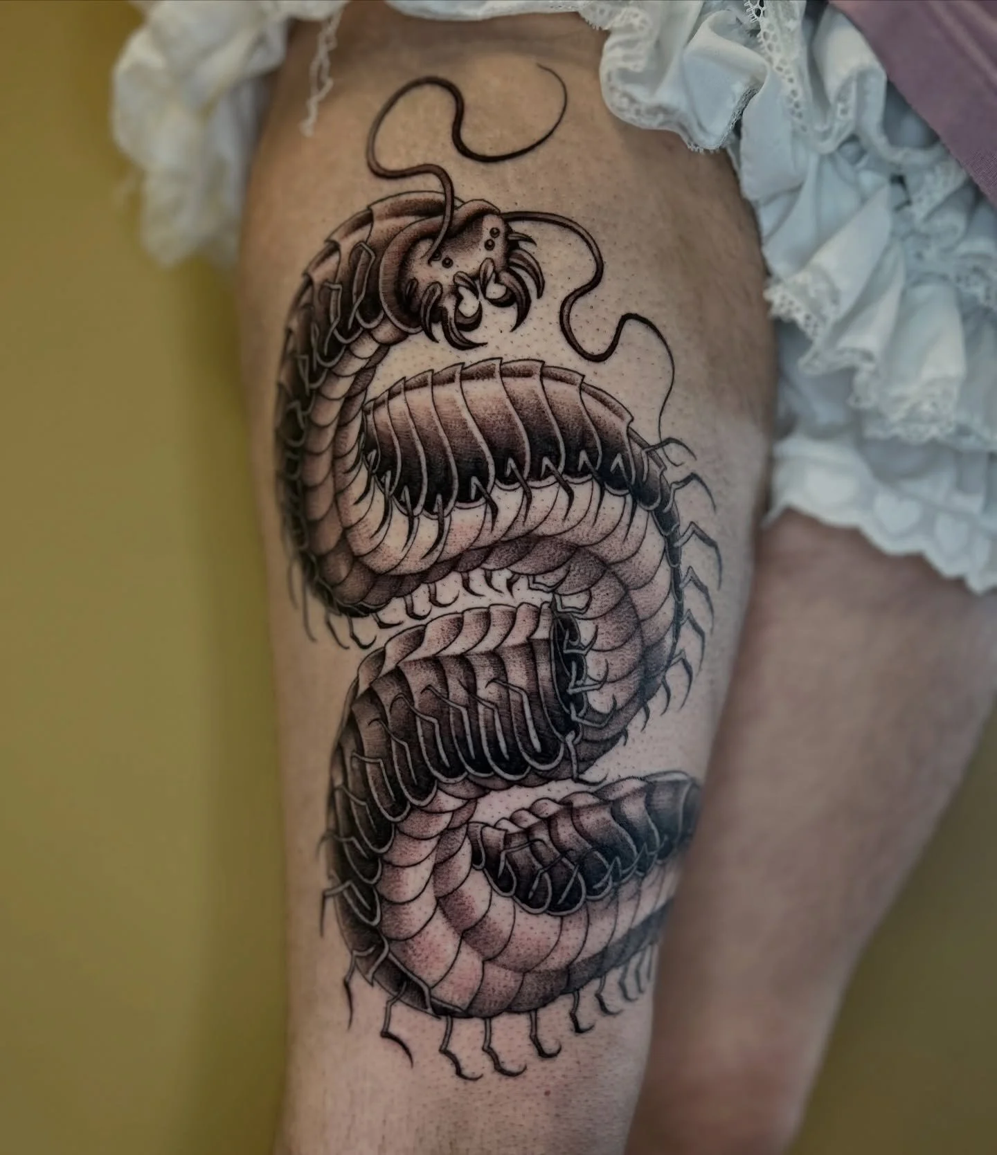 A little sneak peak of one of the centipede projects I&rsquo;m currently working on! Thank you so much for giving me your whole leg as your third tattoo ever Sadie! You&rsquo;re a fucking beast for this <3 more centipedes and big bugs please!!!! D
