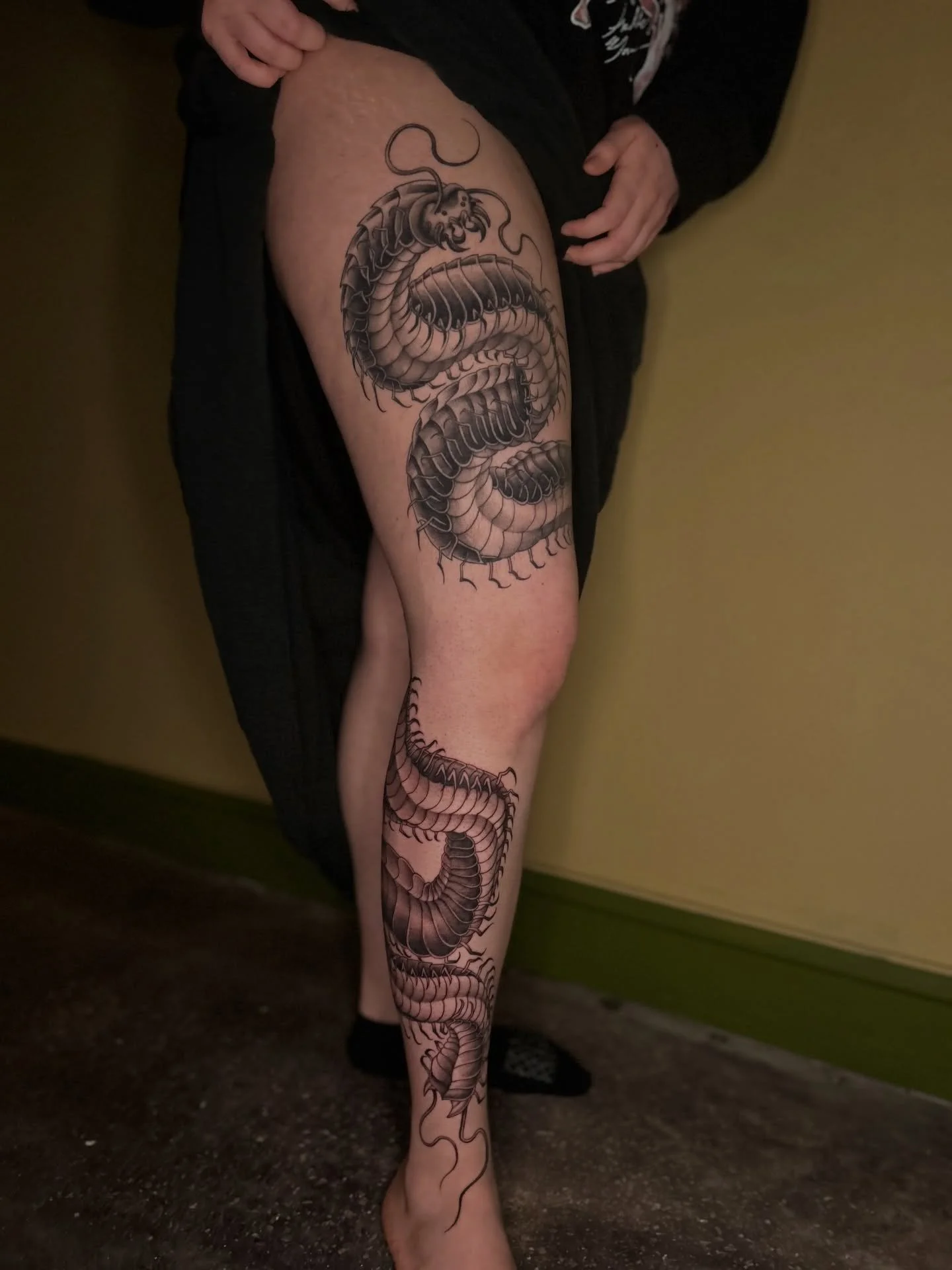 Centipede leggy for Sadie. Thank you so much for your trust. Top half healed, bottom half fresh. Doing these recent centipede projects meant the world to me!!!! I&rsquo;m so thankful to be given trust over an entire limb 🥹 I&rsquo;d love to do more 