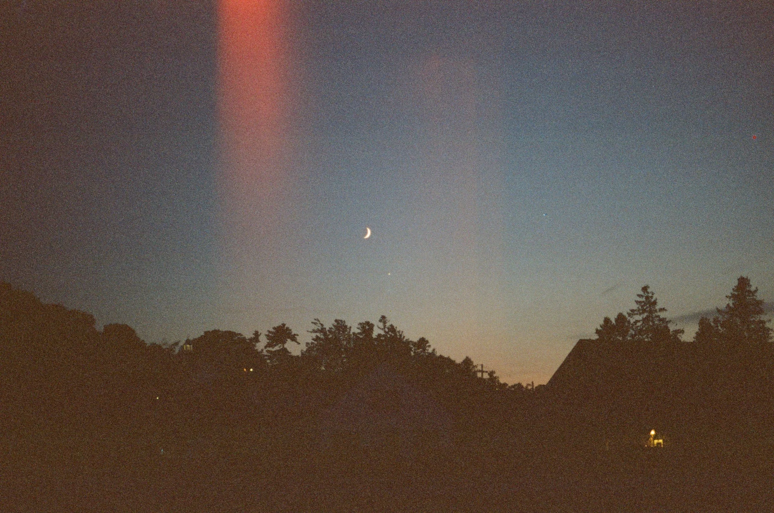 cinestill_xpro_c-41_800_tungsten_(800t)_01_13_2025_000412600019.jpg