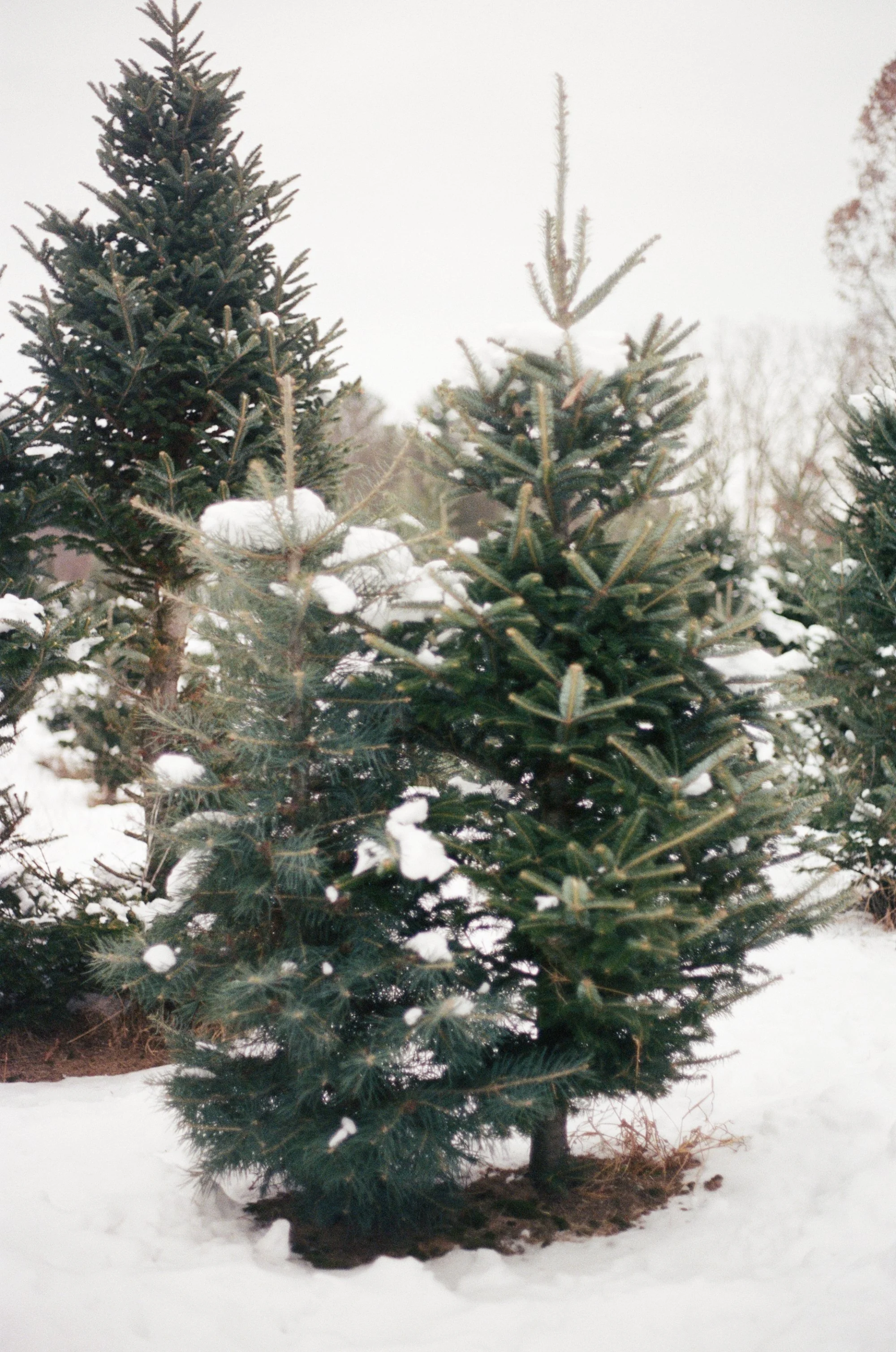 kodak_400_c_41_30895_129131_288219_002888800034.jpg