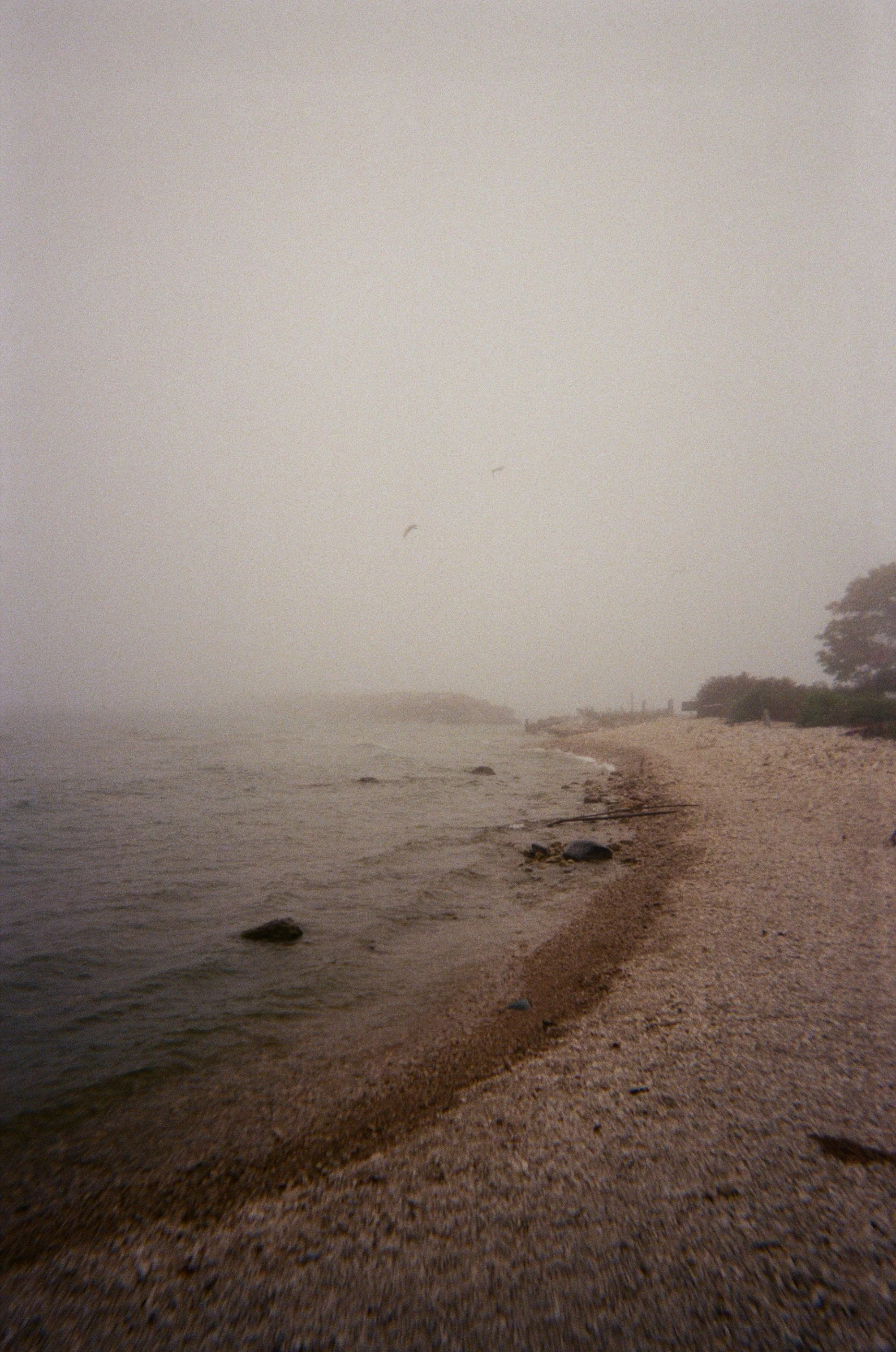 kodak_professional_portra_400_01_13_2025_000412620010.jpg