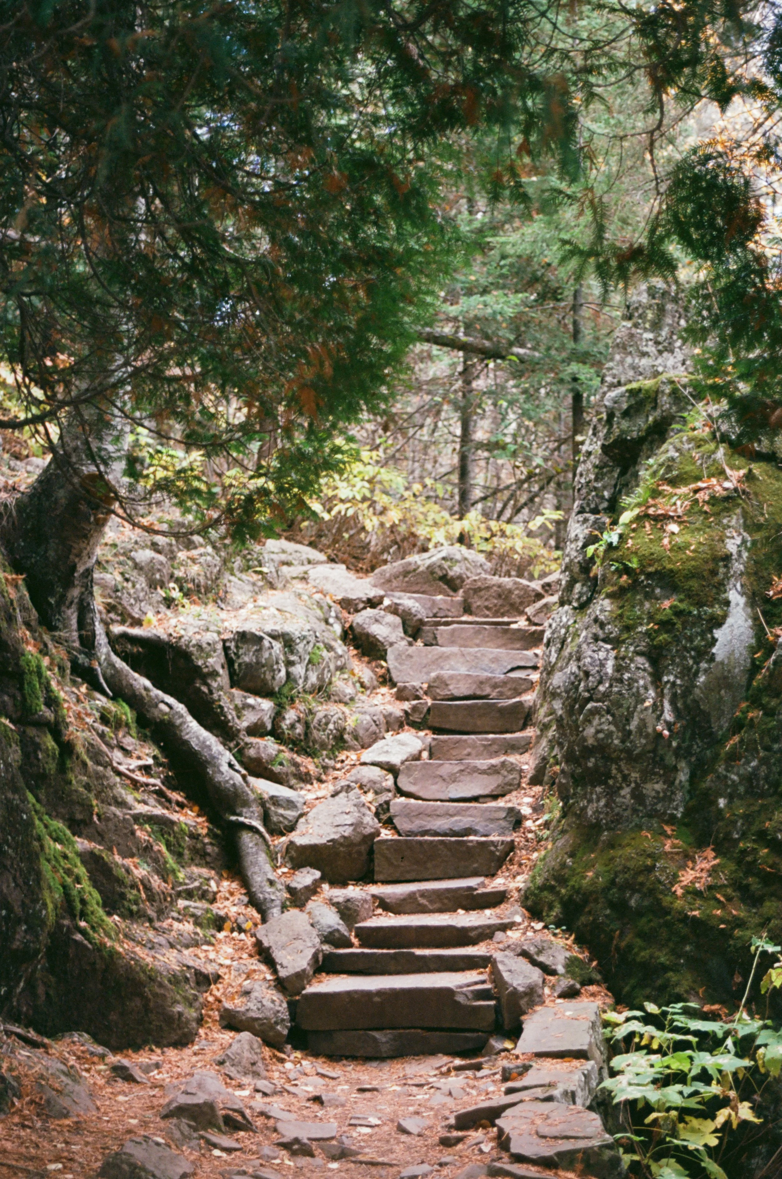 kodak_100_c_41_30895_114483_258641_000006410004.jpg