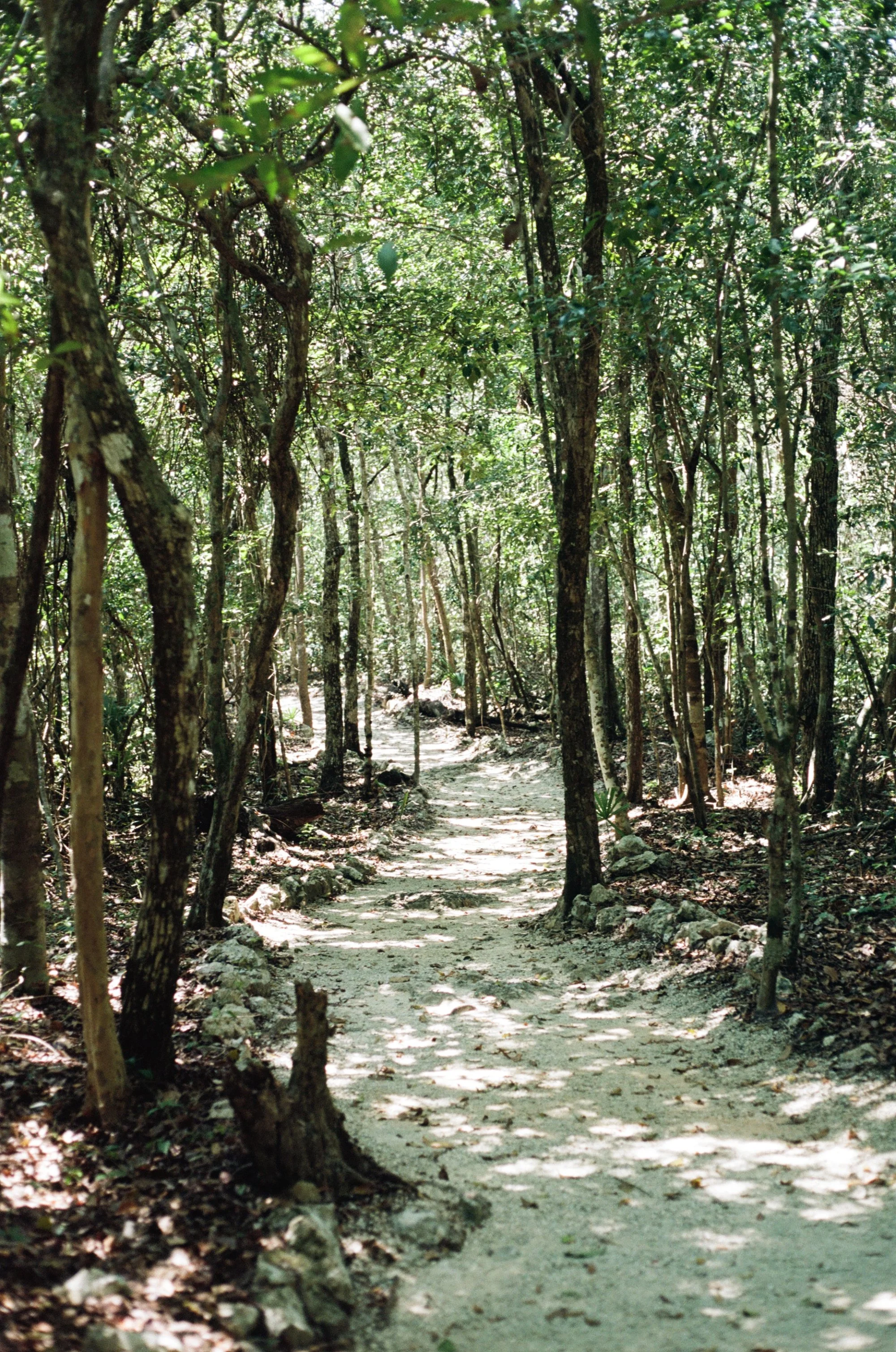 kodak_160_c_41_30895_129131_288218_002889040006.jpg