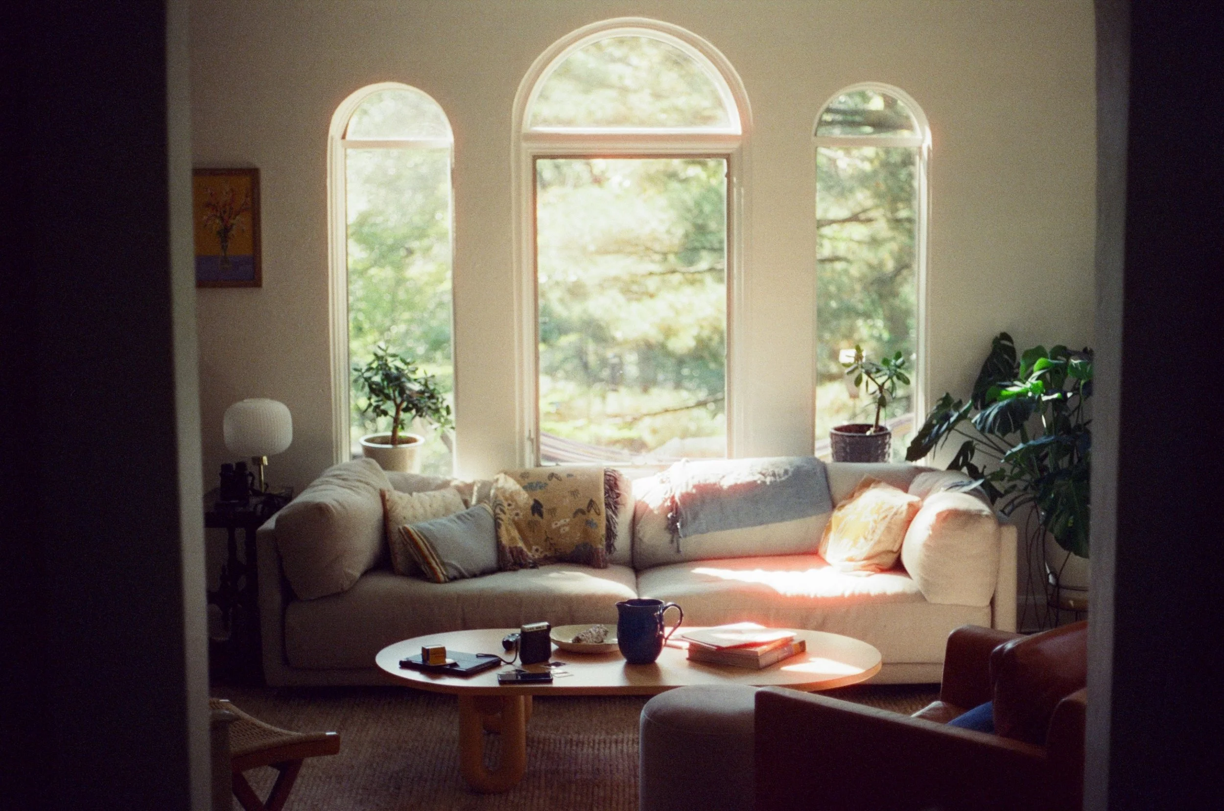 cinestill_xpro_c-41_800_tungsten_(800t)_01_13_2025_000412600031.jpeg
