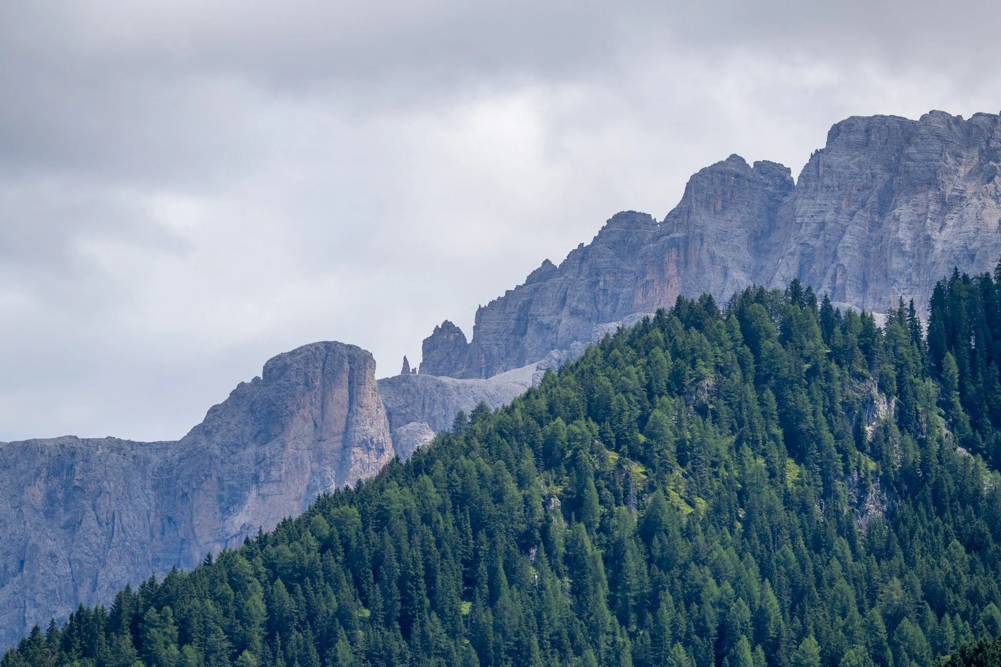 A mountainous landscape with tall, rocky peaks in the background and dense green pine forest on the slopes in the foreground, under a cloudy sky.