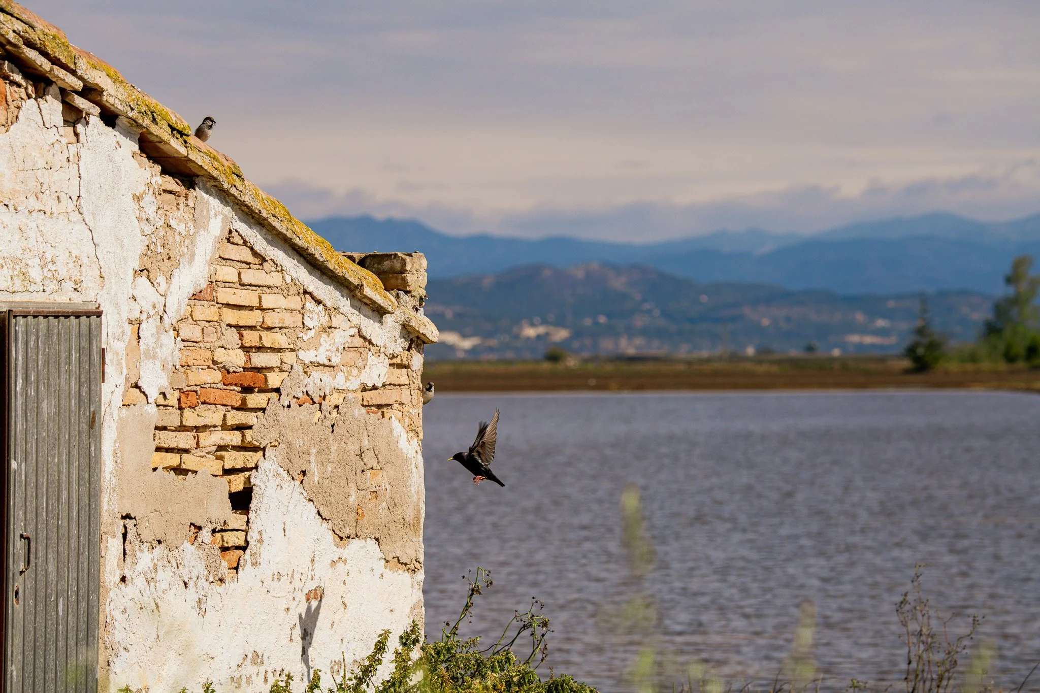 A weathered brick and stucco building near a body of water with mountains in the background. A bird is flying near the building, and two more birds are perched on the roof. The scene is serene with a cloudy sky.