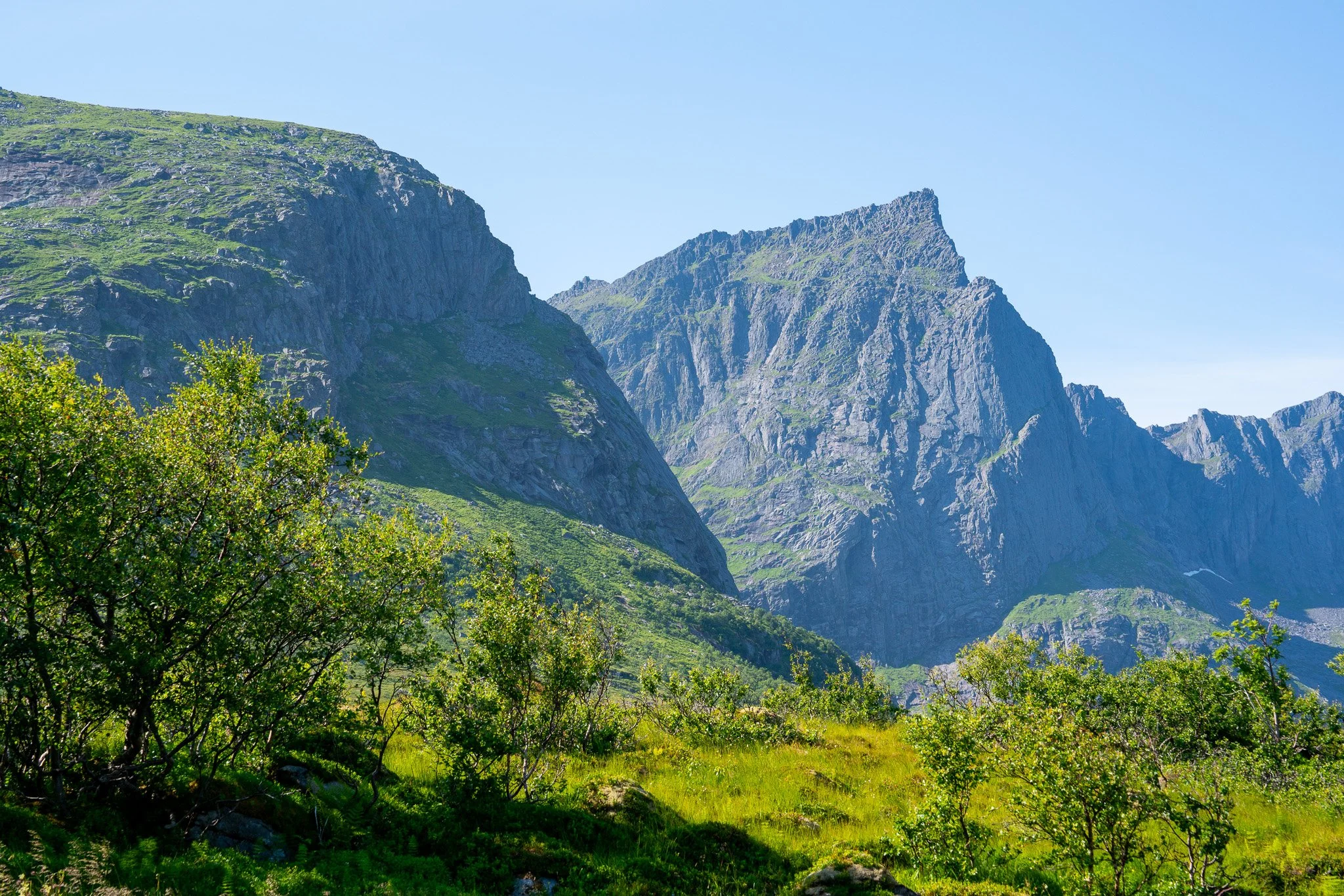 Green hillside with bushes and tall rocky mountains under a clear blue sky