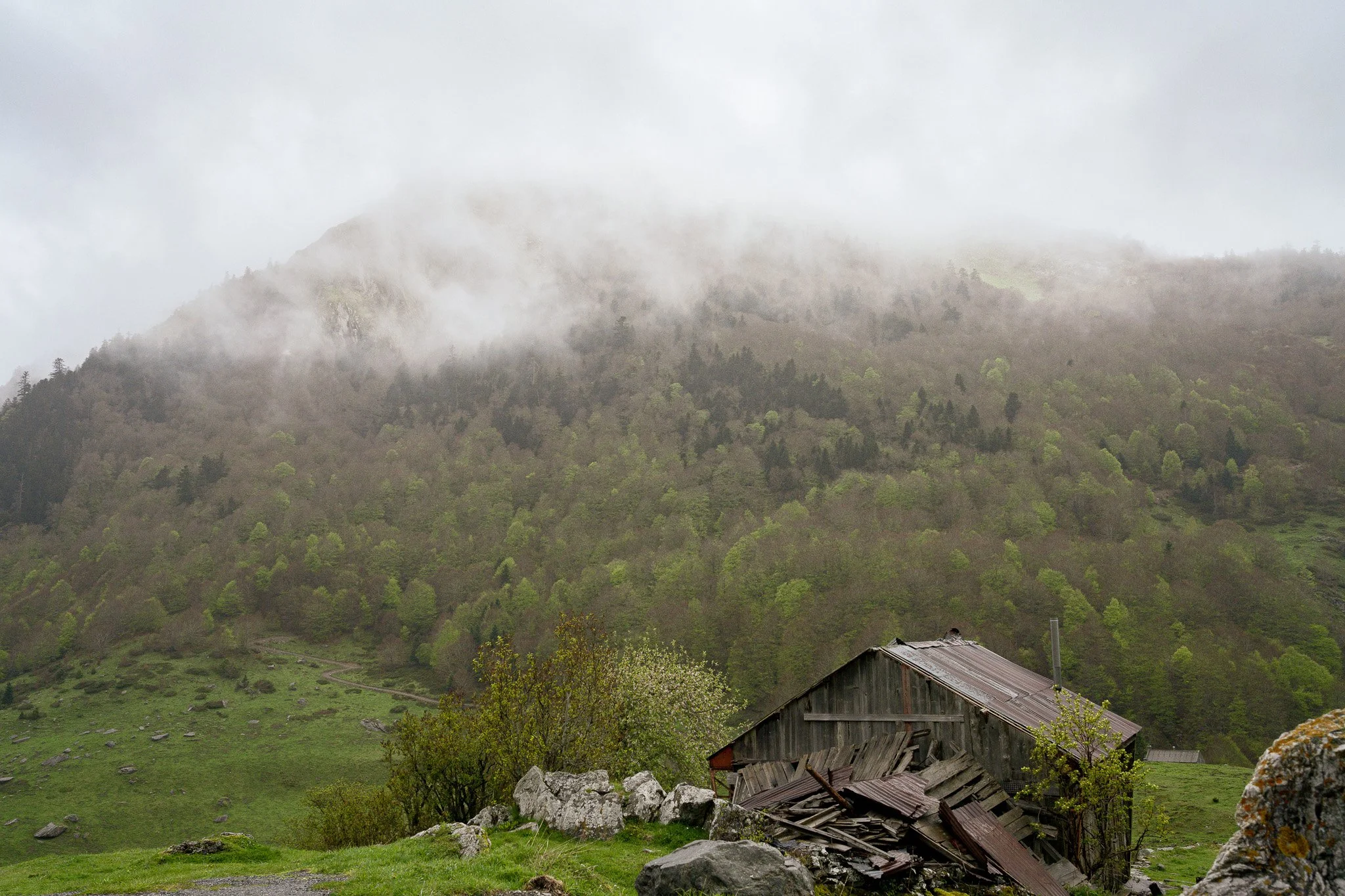 Old, dilapidated wooden barn in a lush green valley with mist-covered forested hills in the background.