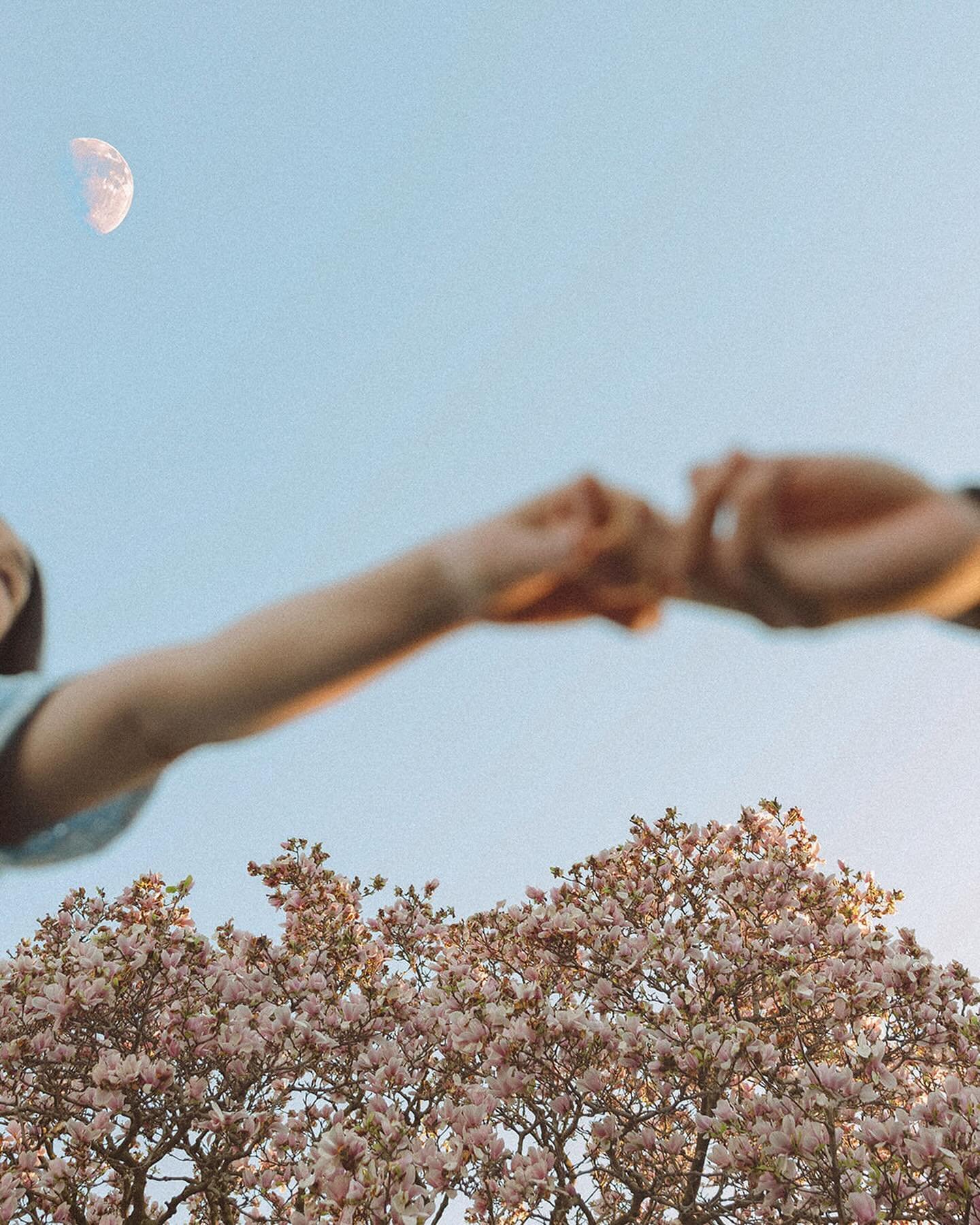 Angelica + Will and their beautiful blossoming magnolia  tree. Barefoot and climbing trees. Sun setting making room for the evening moon / Their first dance song playing 🎶