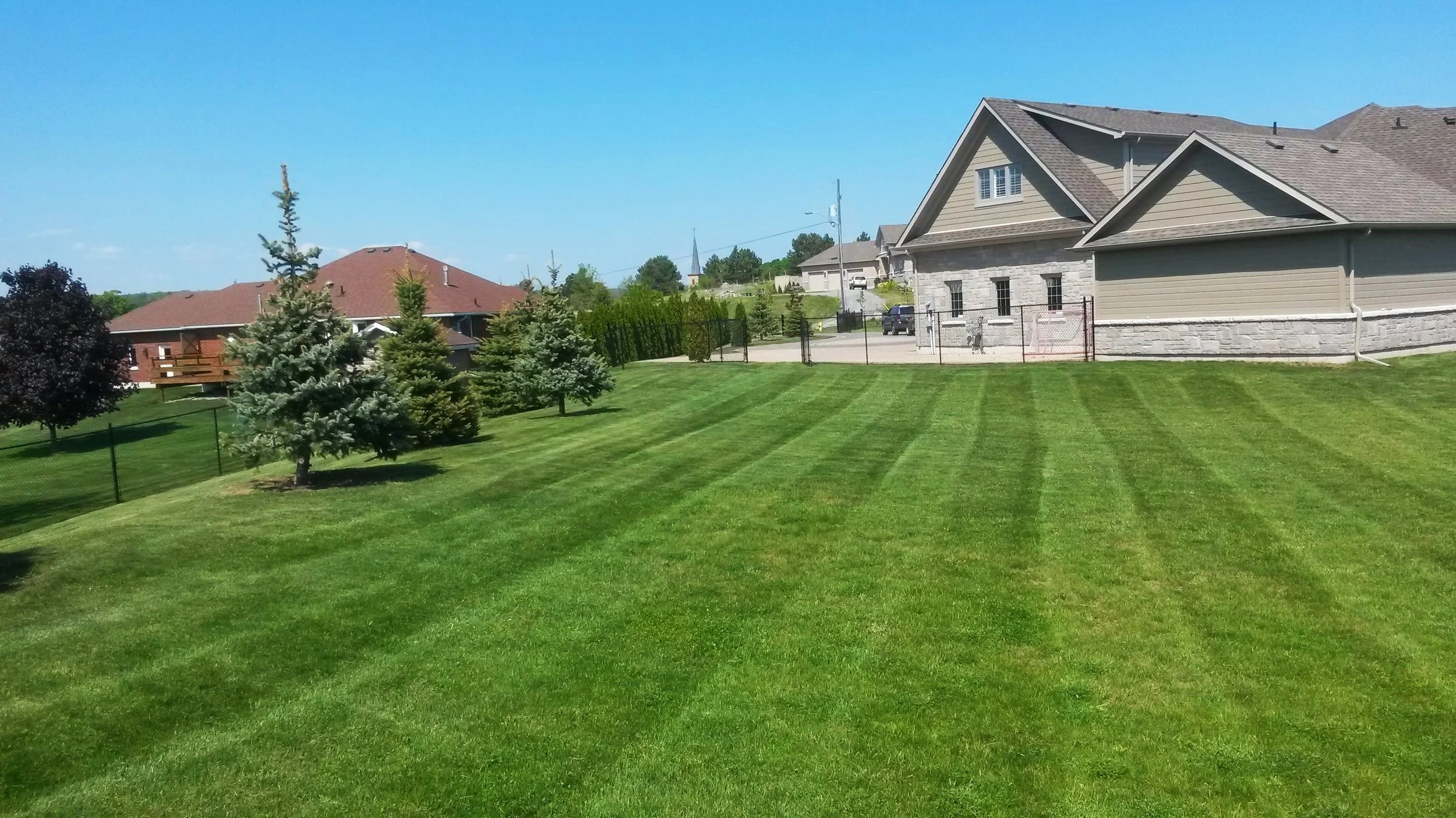 Lawn cutting pic.jpg