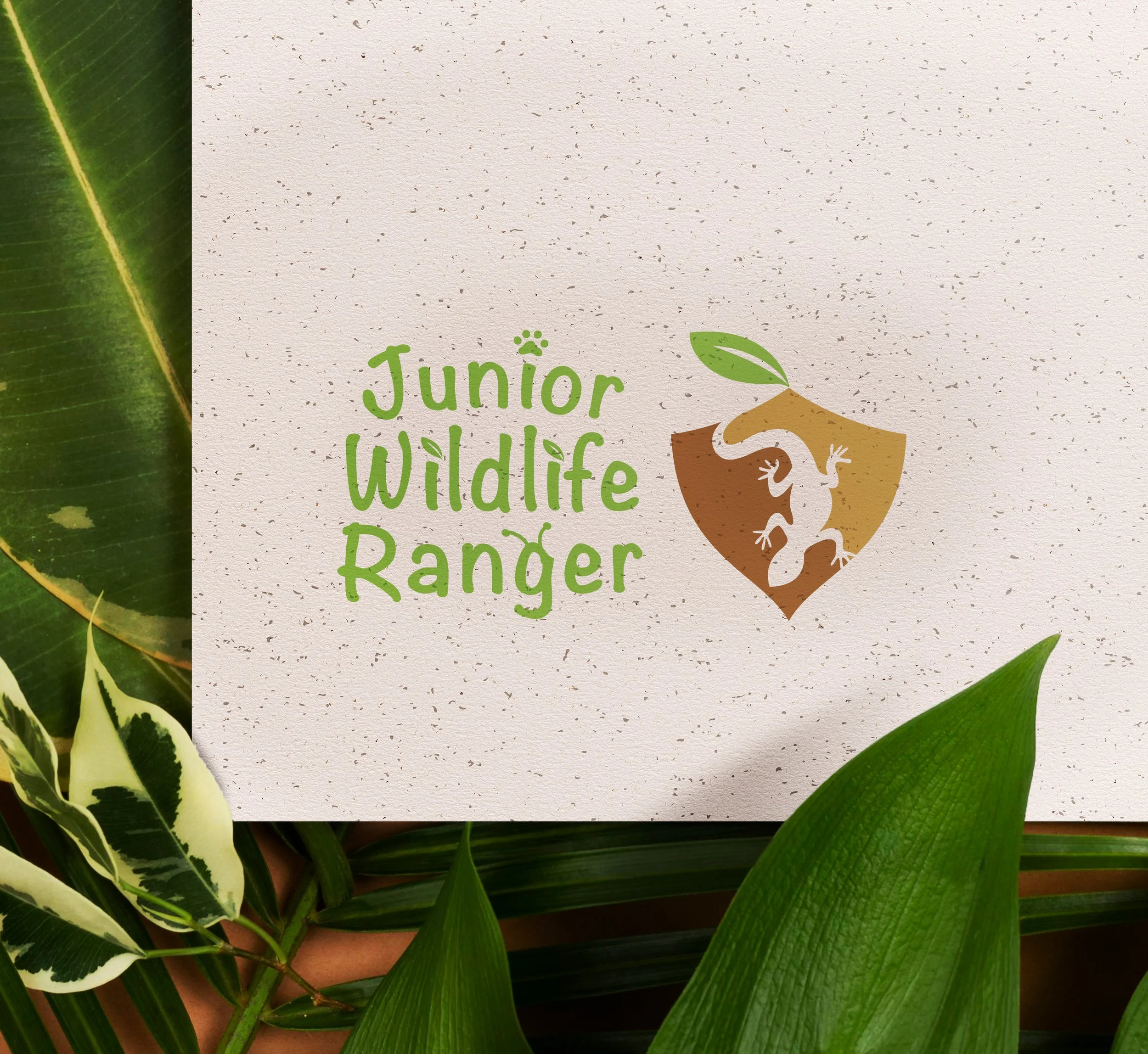 JWR-Image-01.jpg