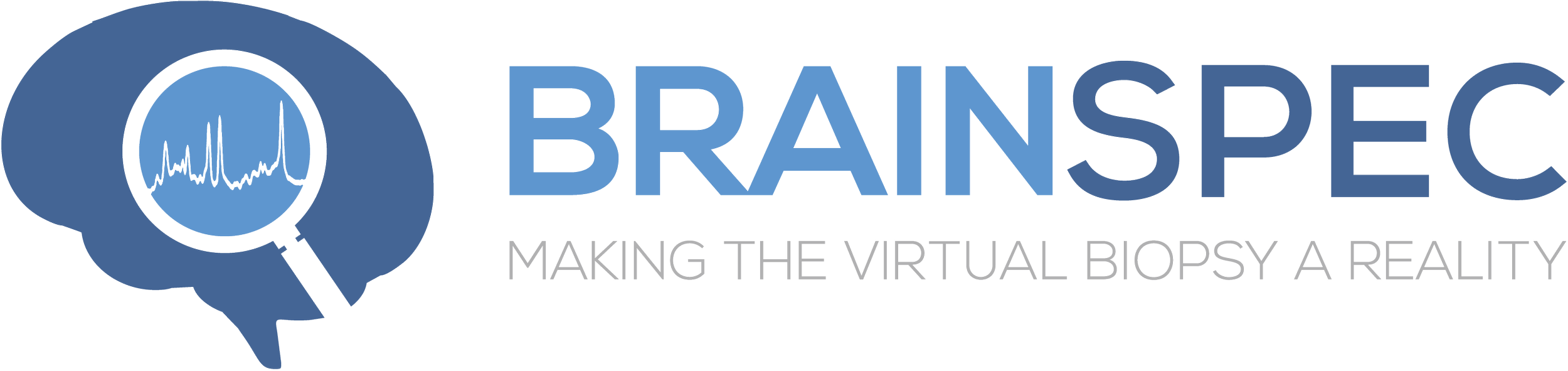 BrainSpec-Blue.png