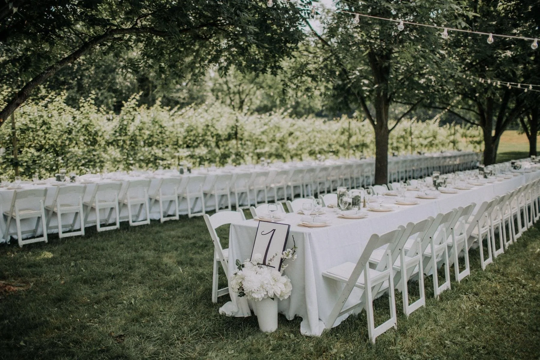 Contact Us Woodbury Event Rentals Woodbury MN — Woodbury Event Rentals