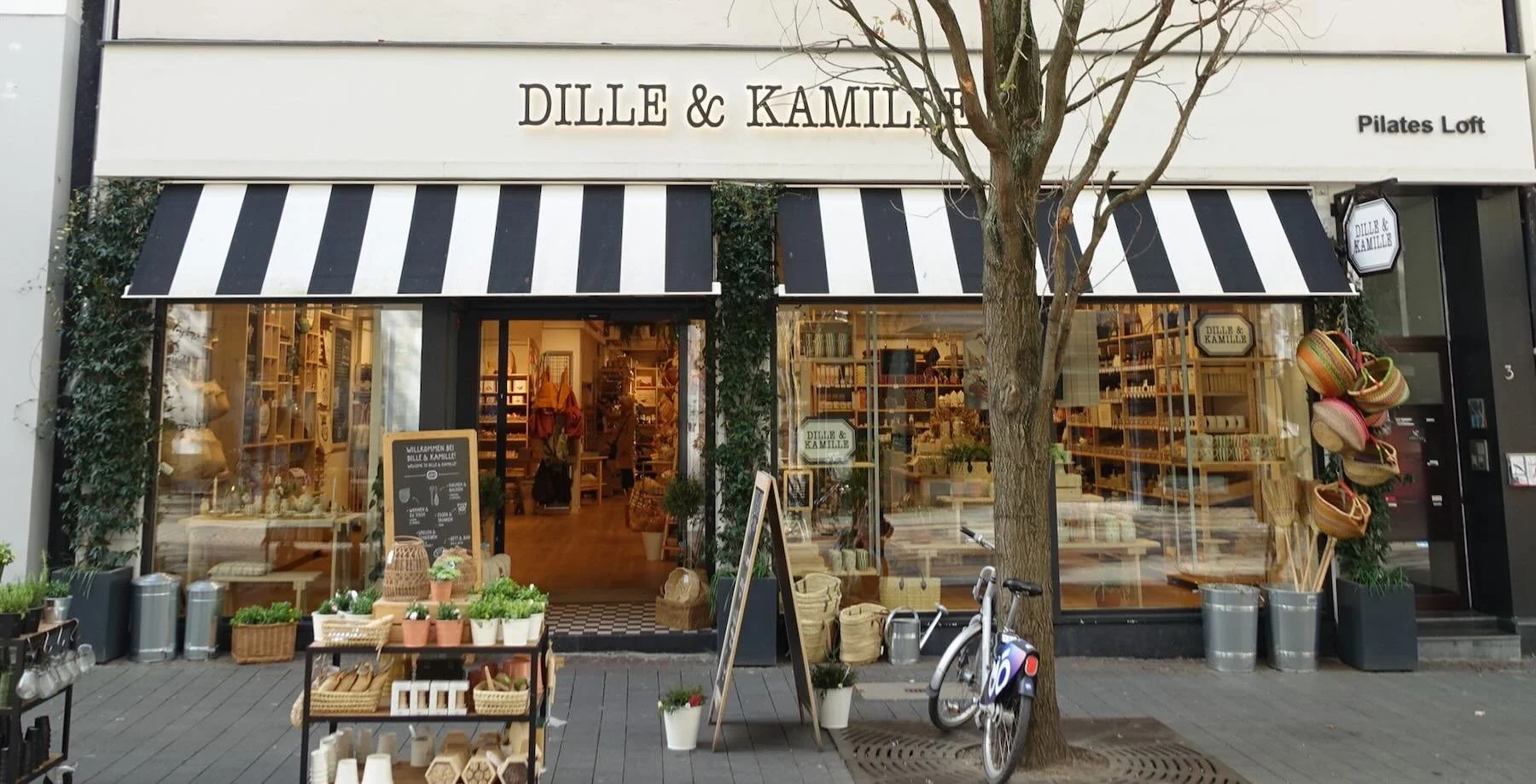 Niederländische Expansion in deutschen Innenstädten: Strategie trifft Gelegenheit (April 2026)