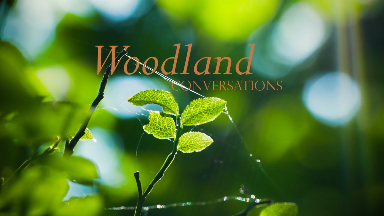 Woodland Conversations