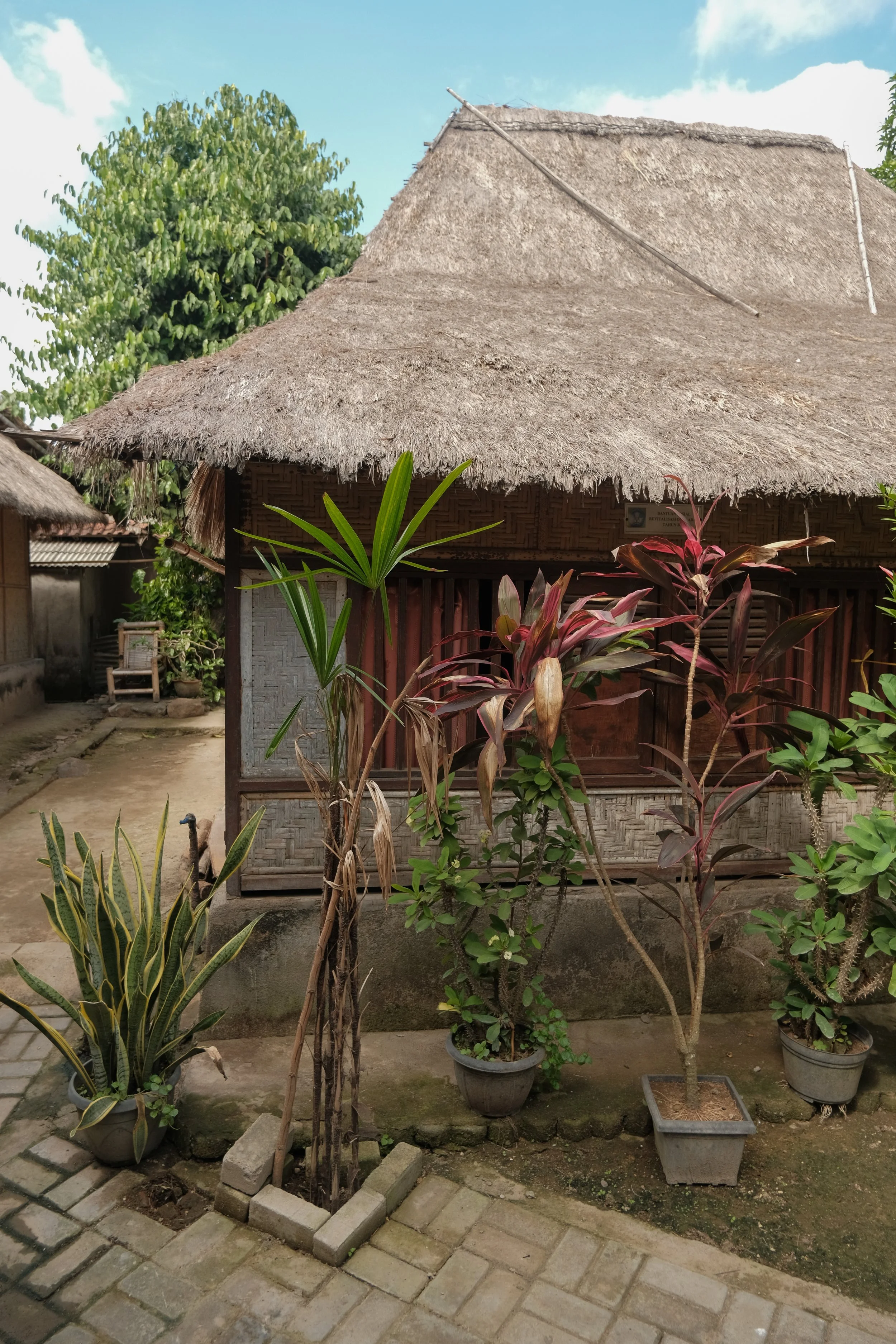 DSCF8459-2.jpg