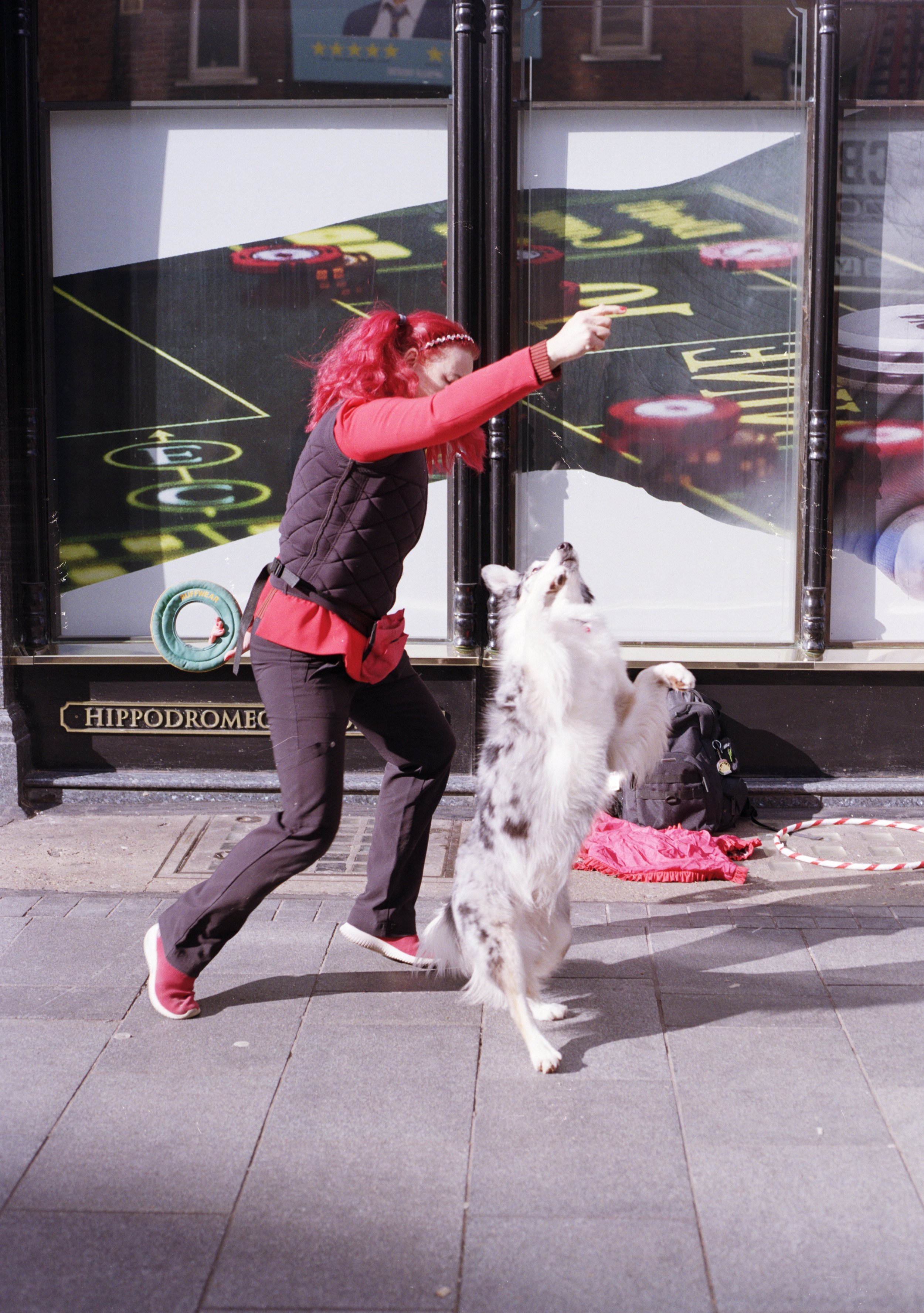 doggo and owner dancing.jpg