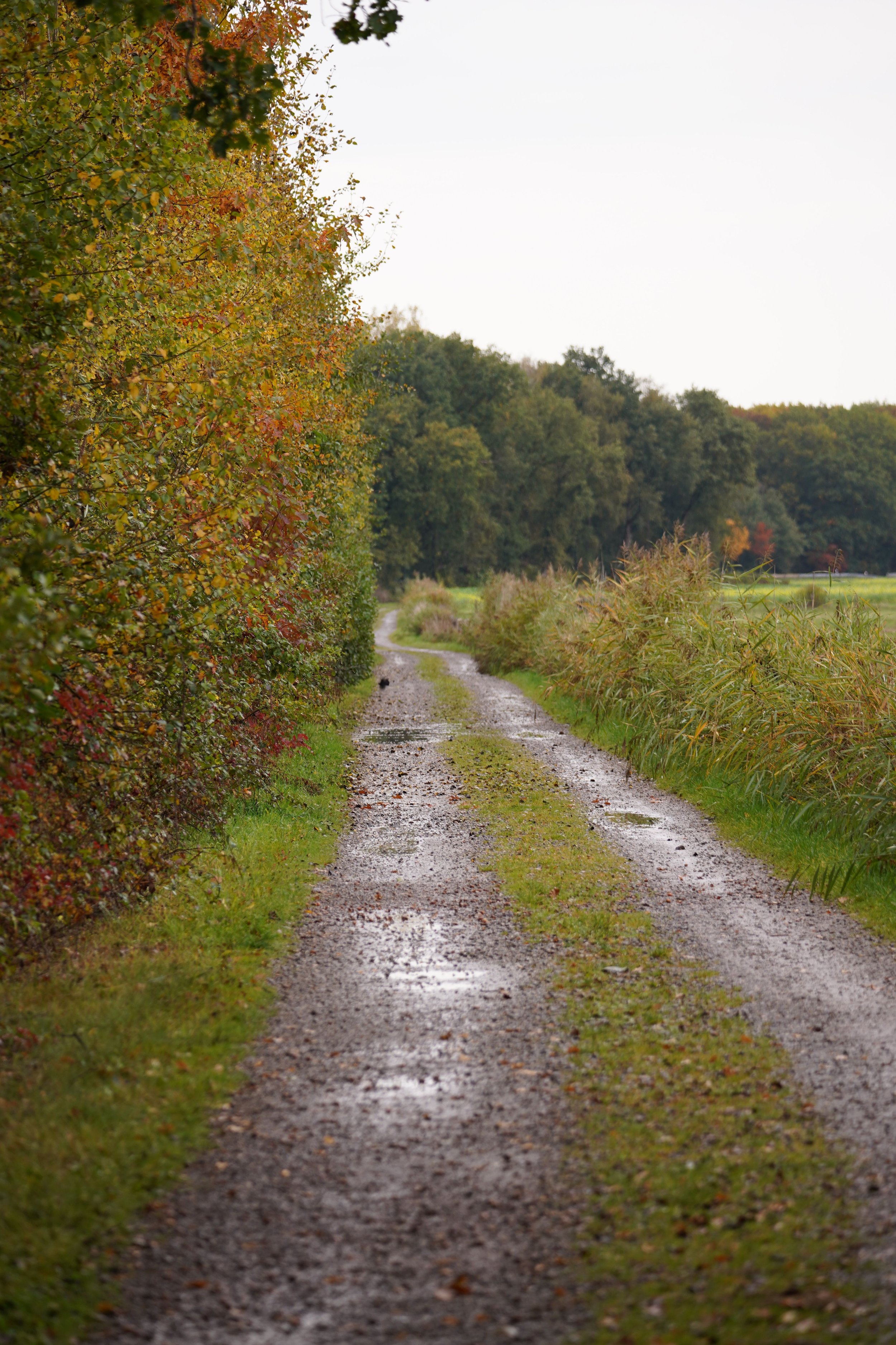 How Do You Stop a Gravel Driveway From Washing Out?
