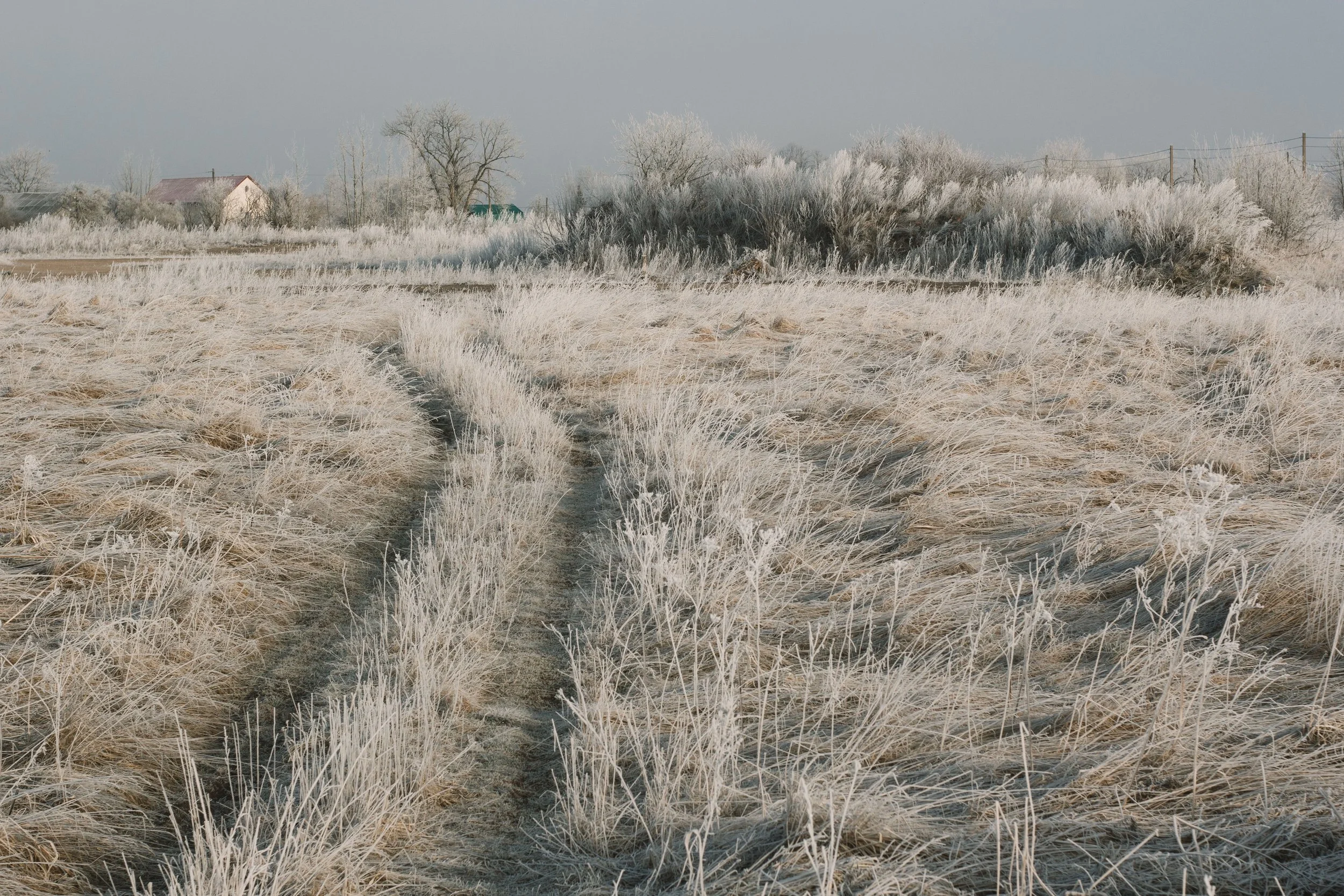 How Do You Winterize an Irrigation System in Western Colorado?