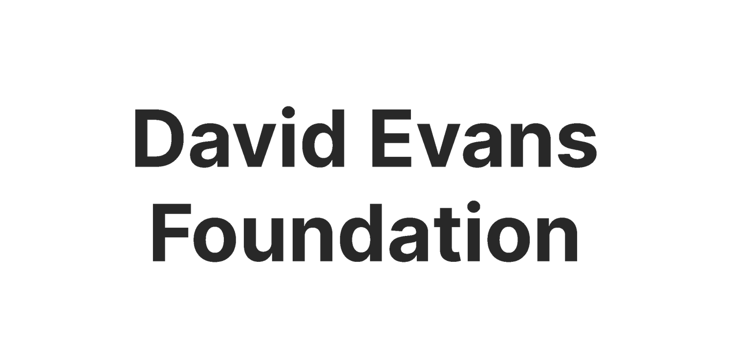 David Evans Young Talent Scholarship — NAFVan New Art Foundation of