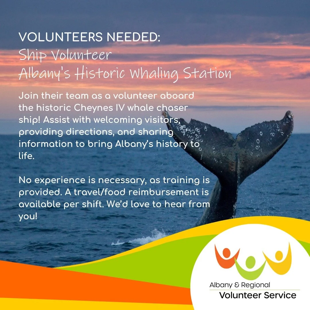 🌊🛳️ Volunteer Opportunity - ALL ABOARD!🛳️🌊

Are you passionate about history and enjoy meeting new people? Join the team as a volunteer aboard the historic Cheynes IV whale chaser ship at Albany's Historic Whaling Station! Help us welcome visitor