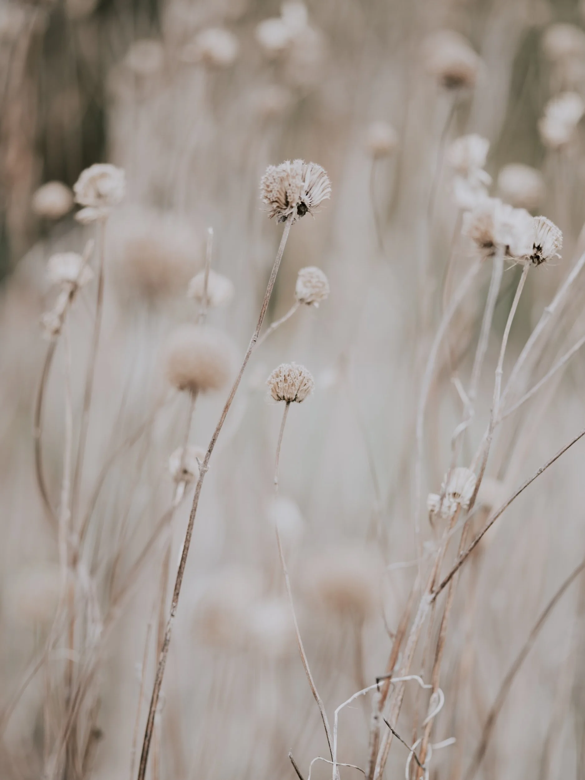 Intention Setting: A 5-minute Mindful Moment