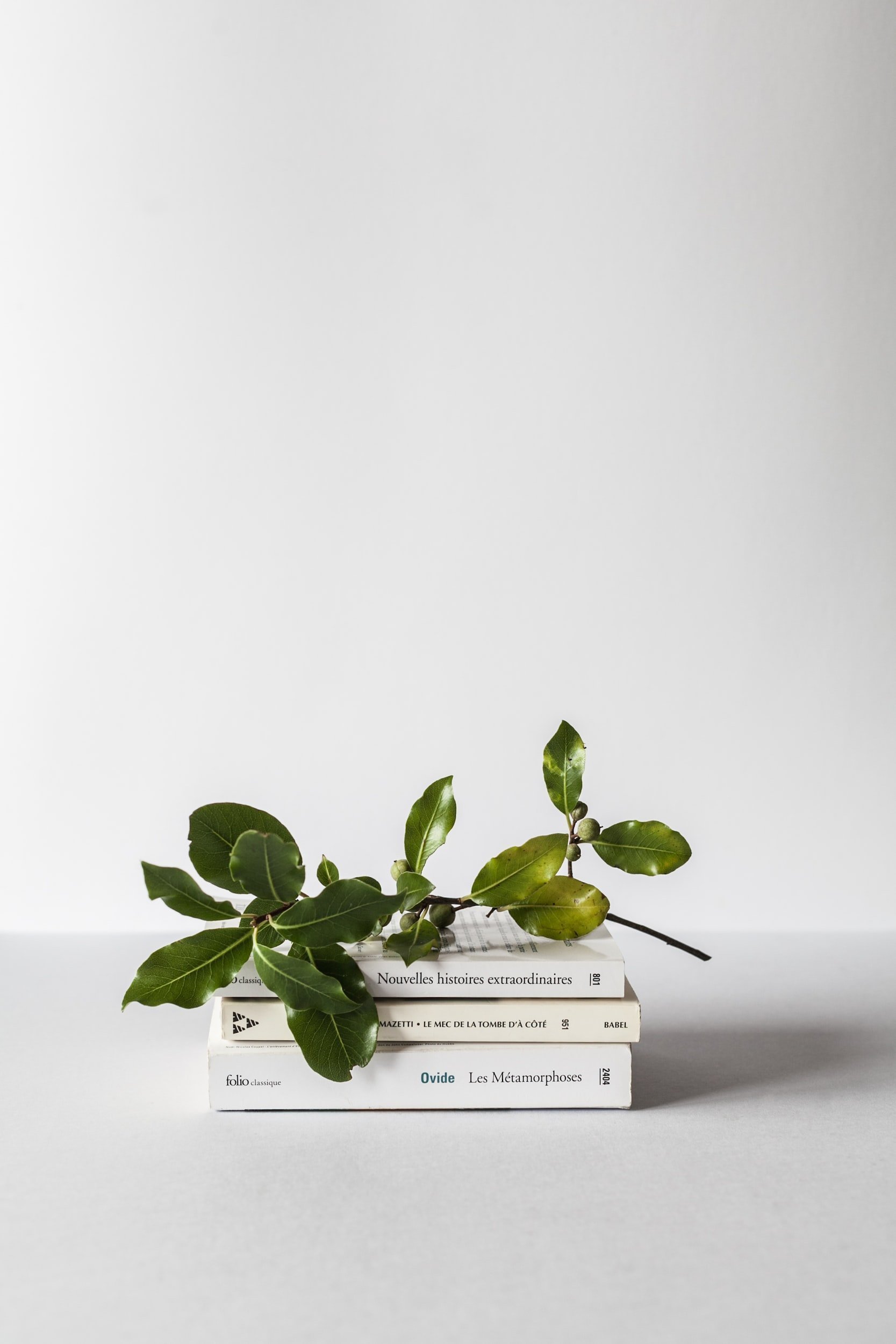 When You Feel like a Fraud: Managing Imposter Syndrome Ecourse