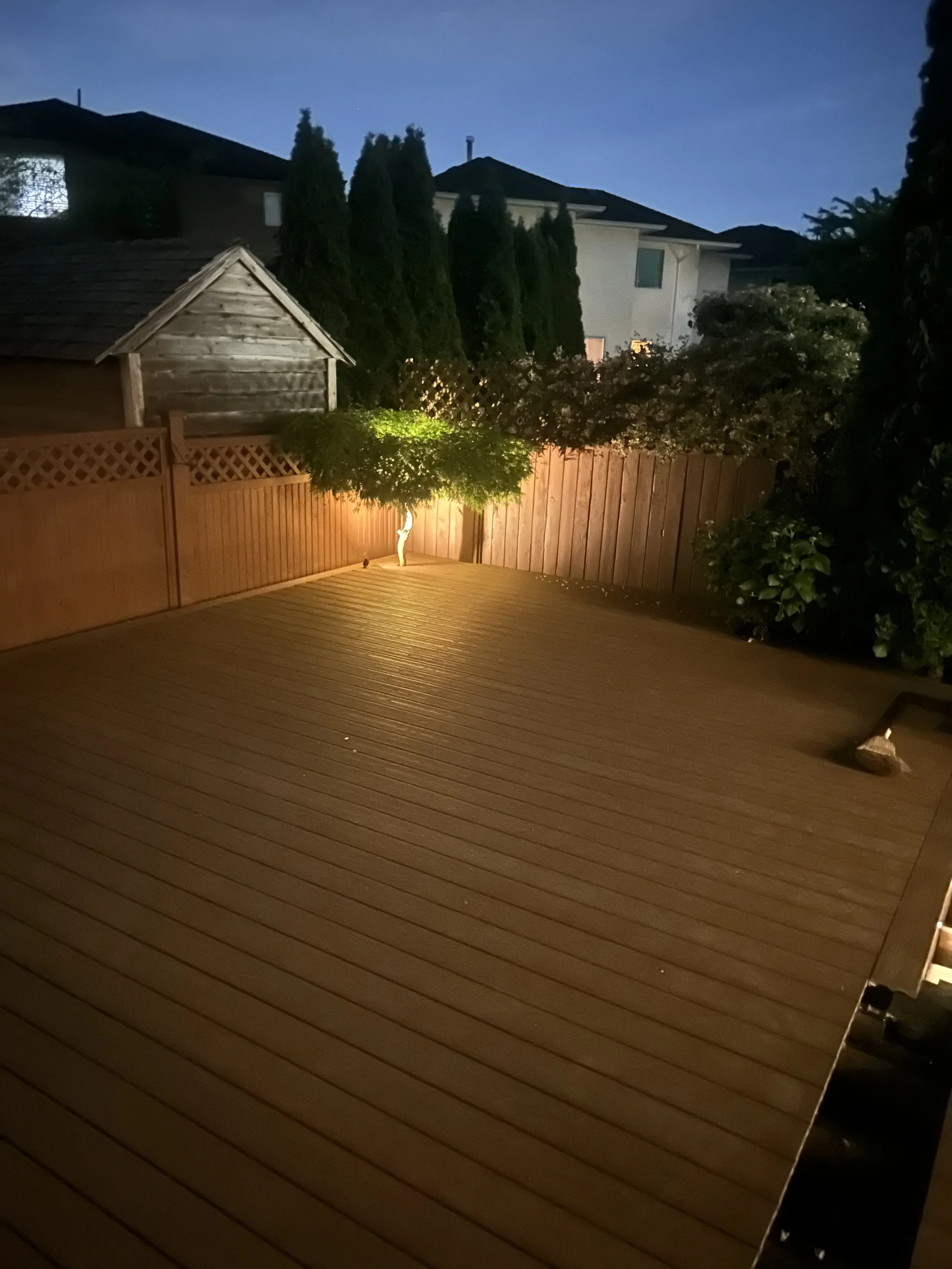 Deck-lighting-tree.jpg