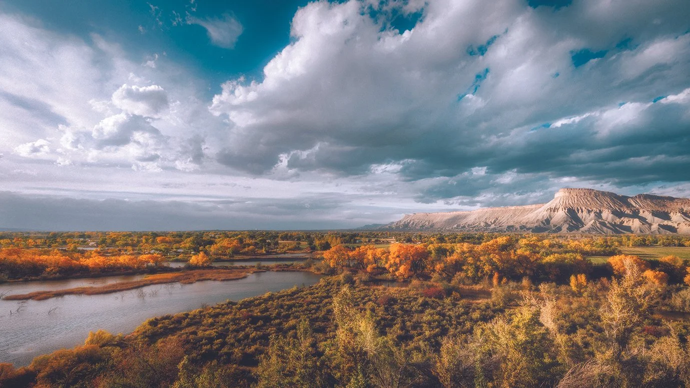 Fall into Palisade this Autumn