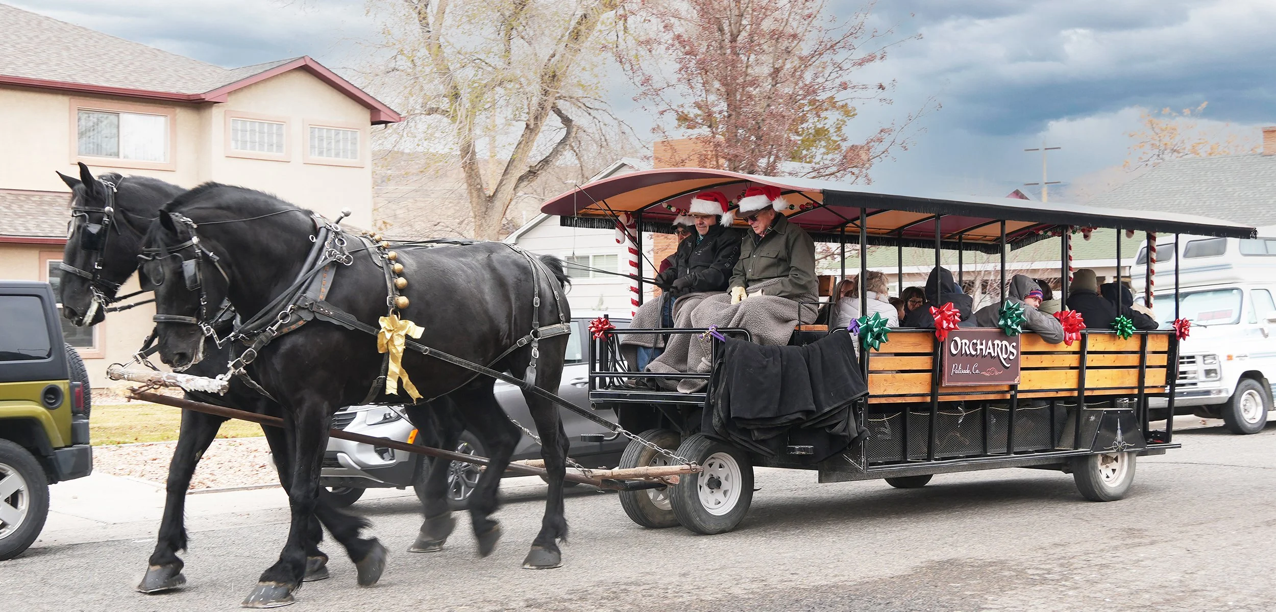 Carriage horses decorated in Christmas decor