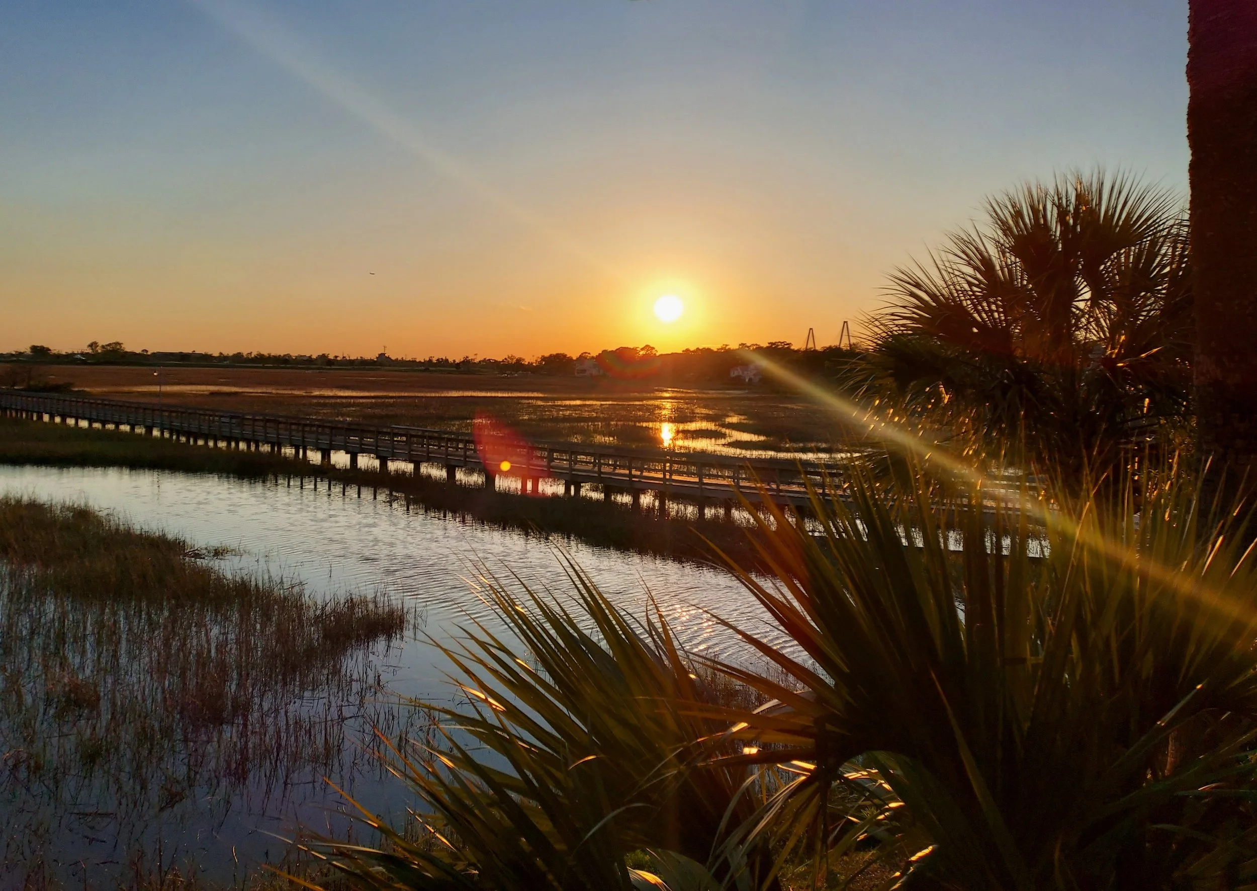 sunset at shem creek  - Ashleigh Bradford.jpg