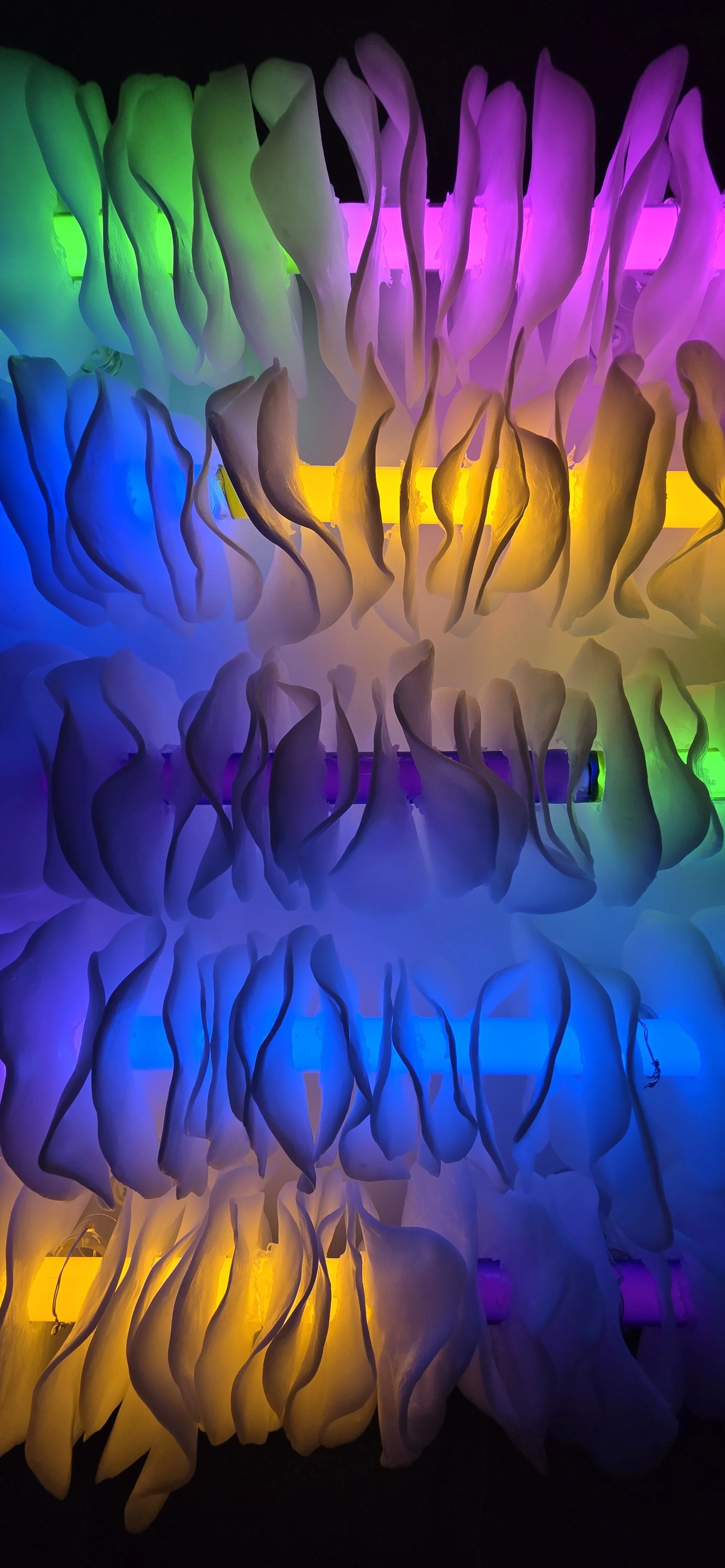 Luminal.Glaze.3 - Bryanna King.jpg