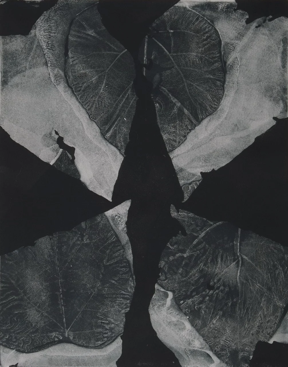 "Tree of Heaven I" by Emily Clare; akua ink, 1618 Arnhem paper; 2024