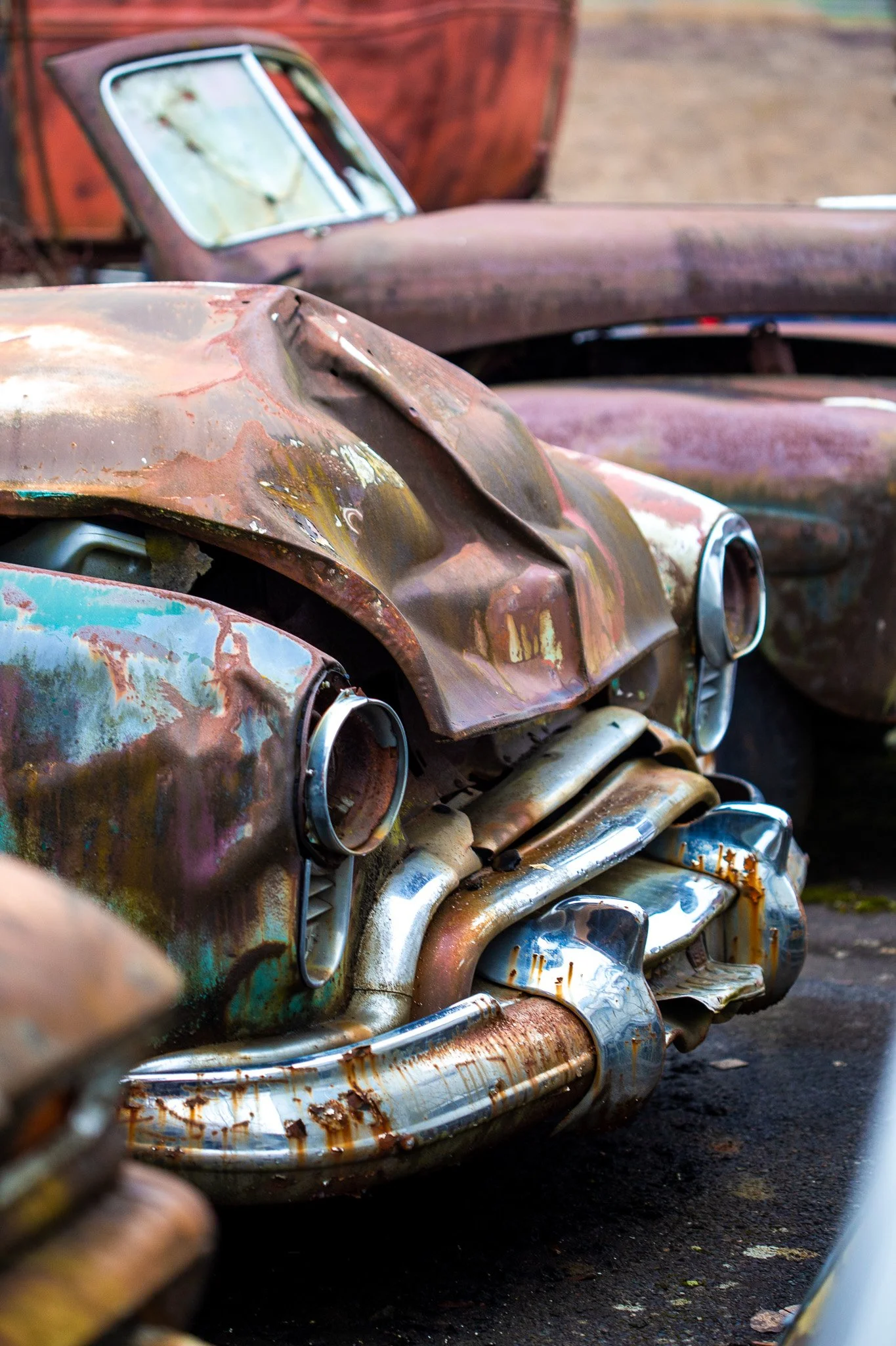 IMG_9741 - Rusty Zanavich.jpg