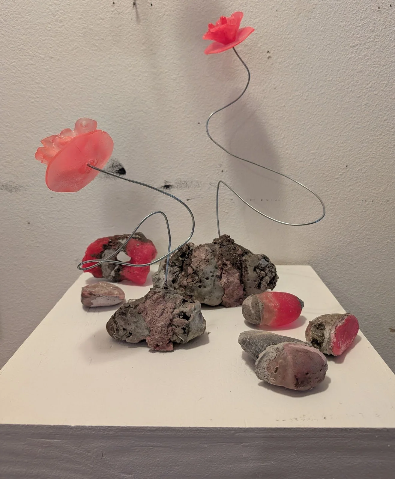 Esbensen_Eidolon Blooms and Rocks.jpg