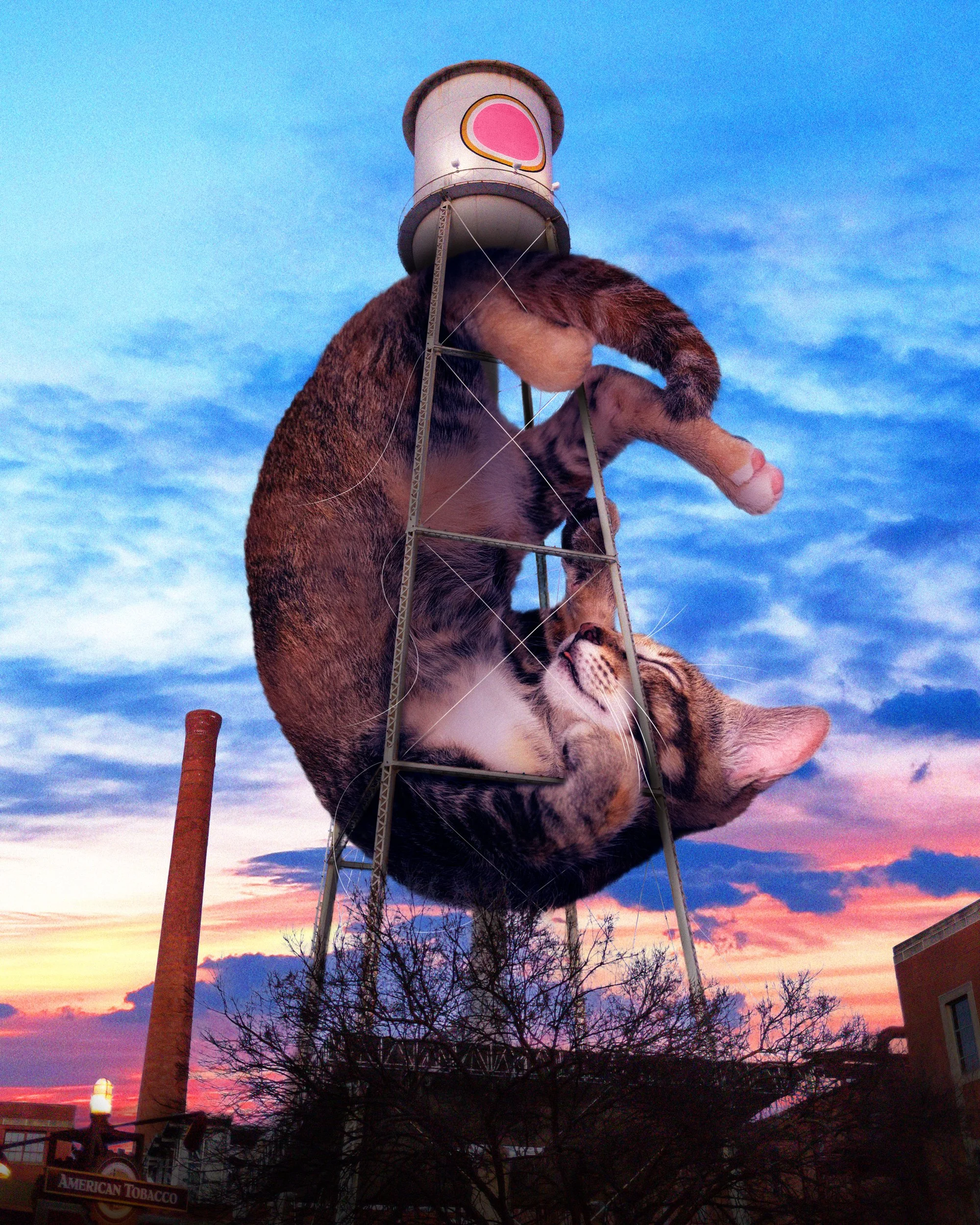 Bull_City_Kitty_McCarthy - Matt McCarthy.jpg
