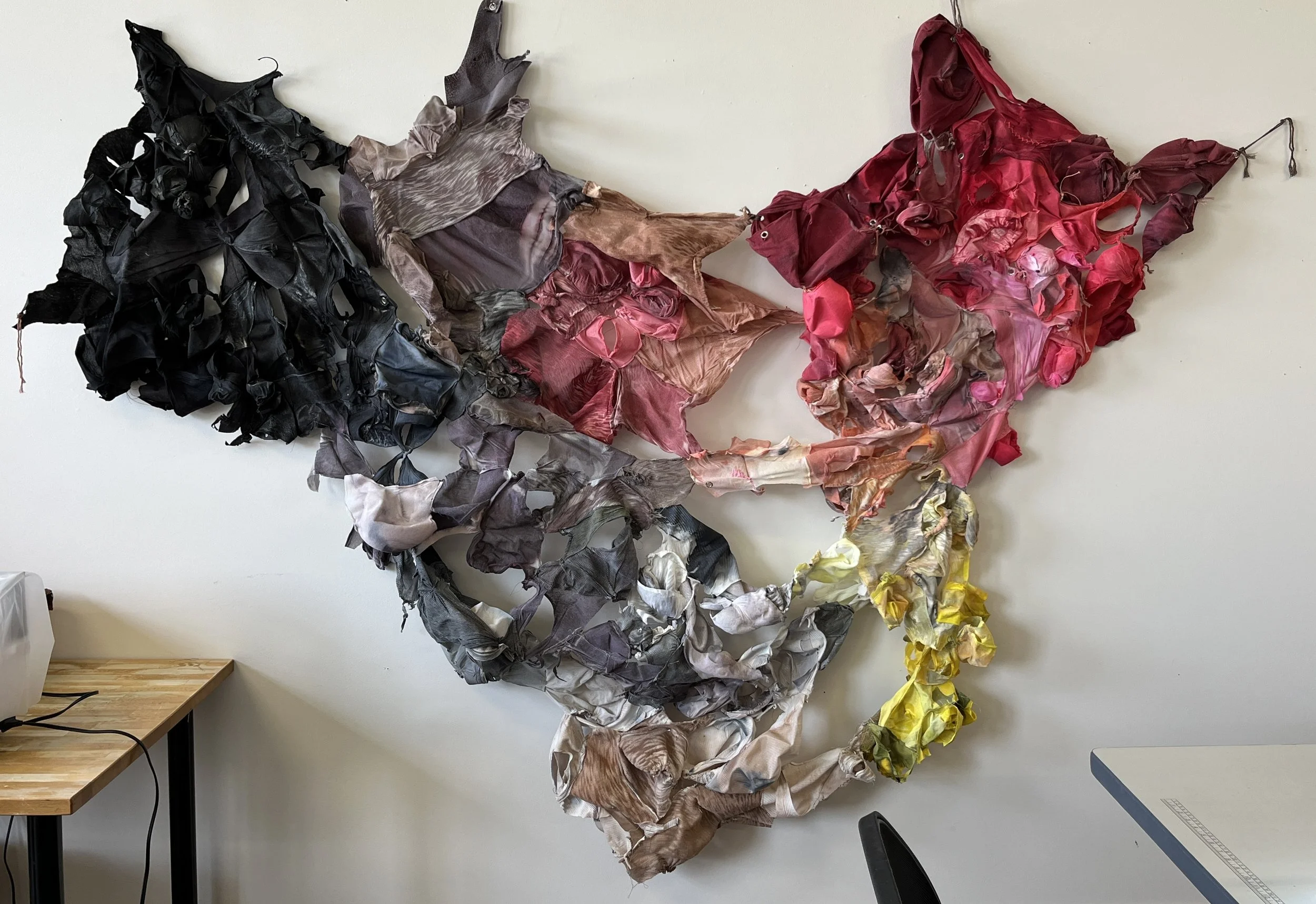 Baumbach collapse flat on wall (1).JPG