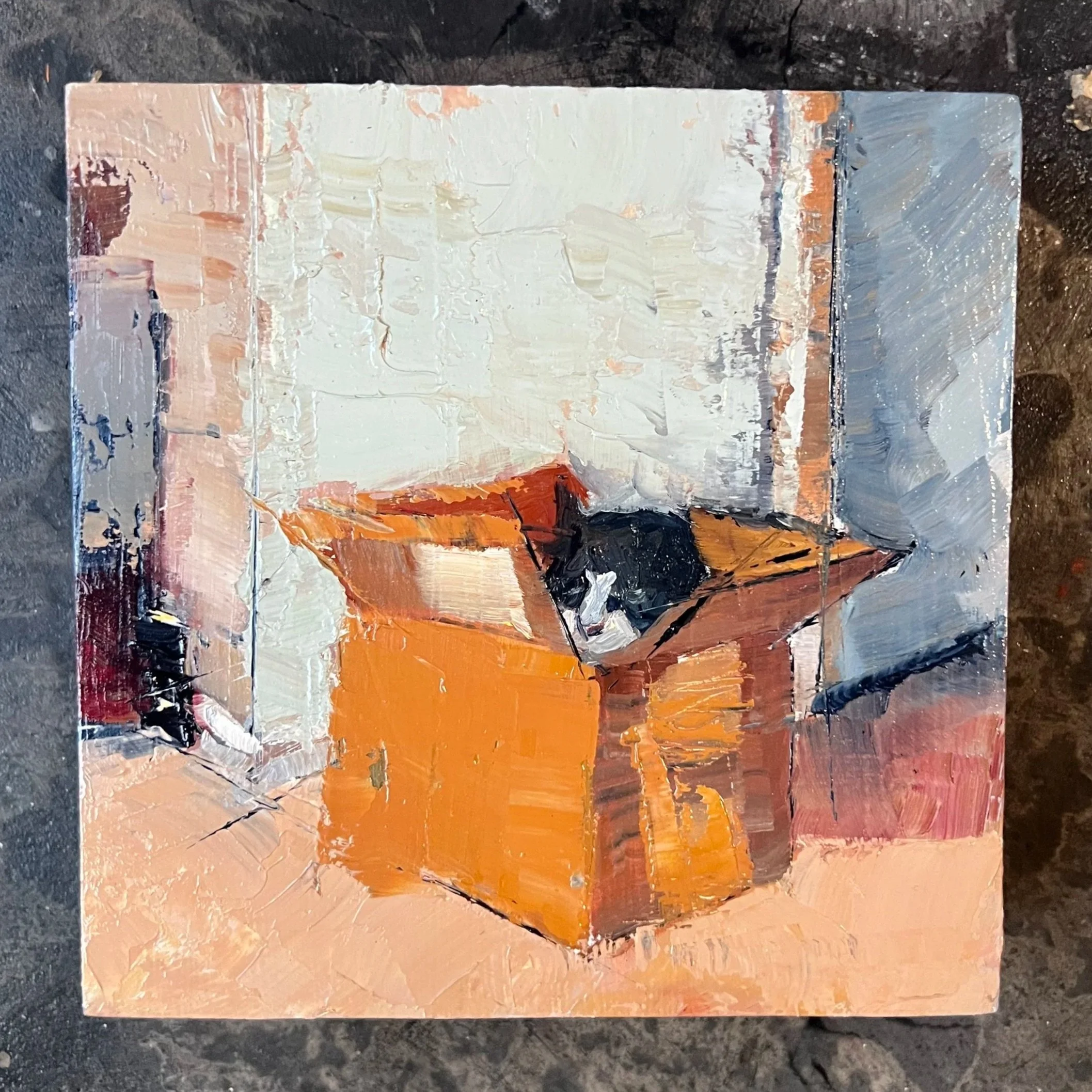 Cat in the Box in a Big World by Naya Henry