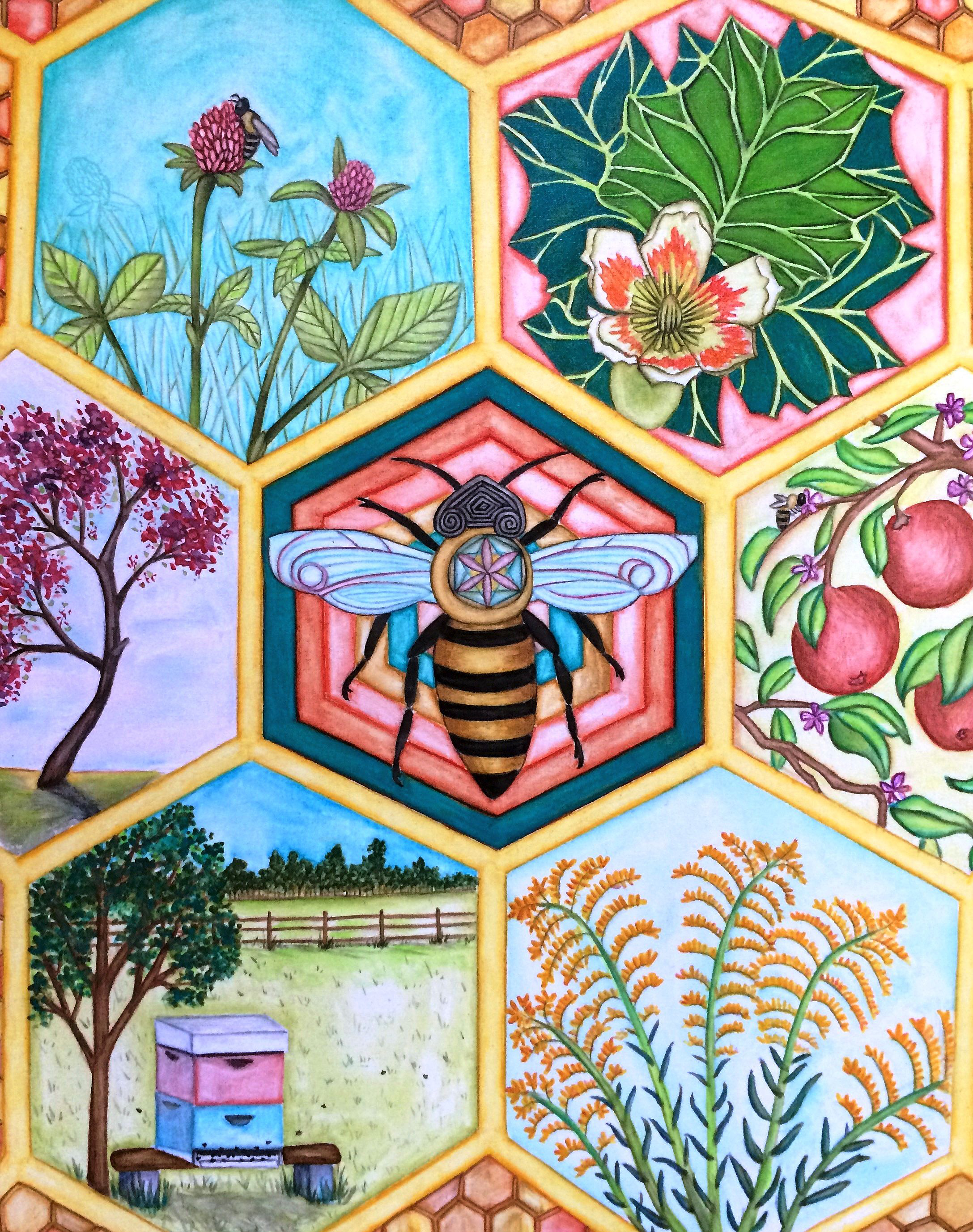 Honeycomb by Emily Merletto