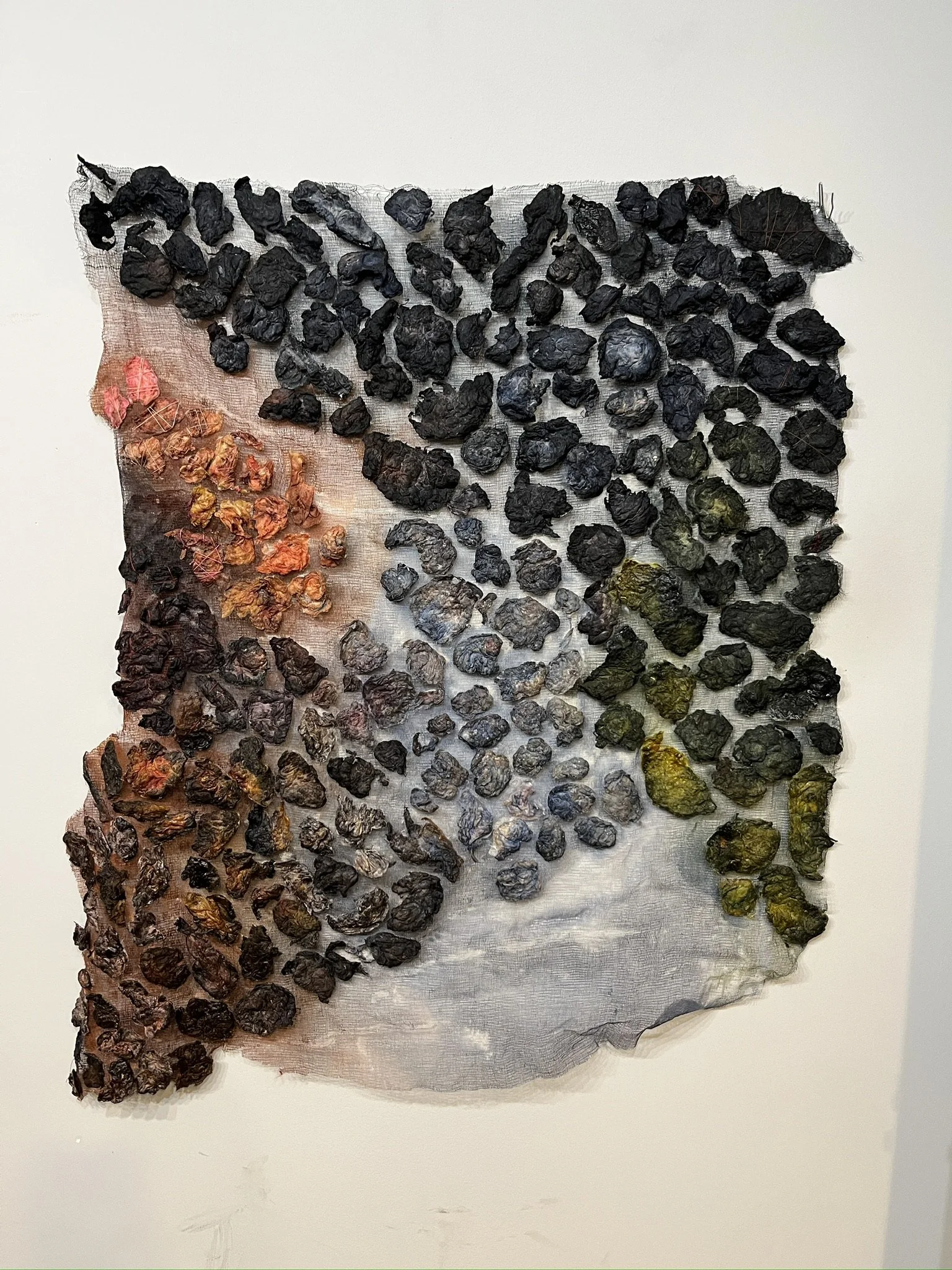 Baumbach detritus.jpg