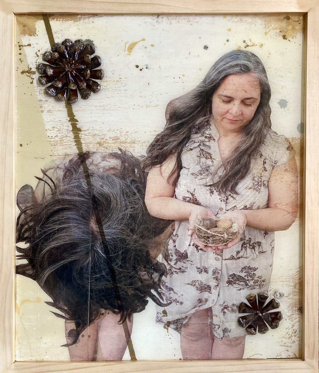 Plants & Birds and Things by Erin Ives